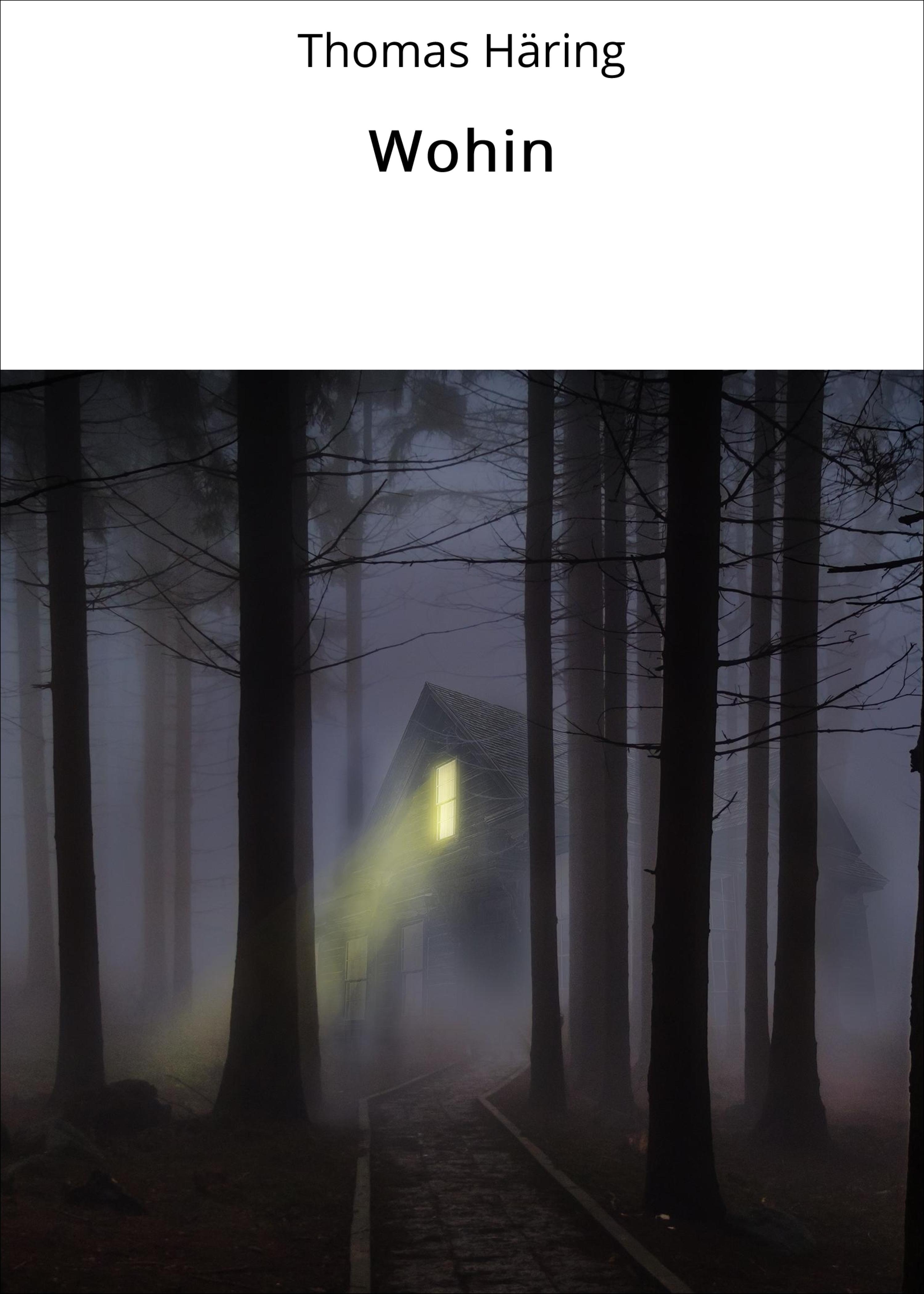 Обложка книги «Wohin»