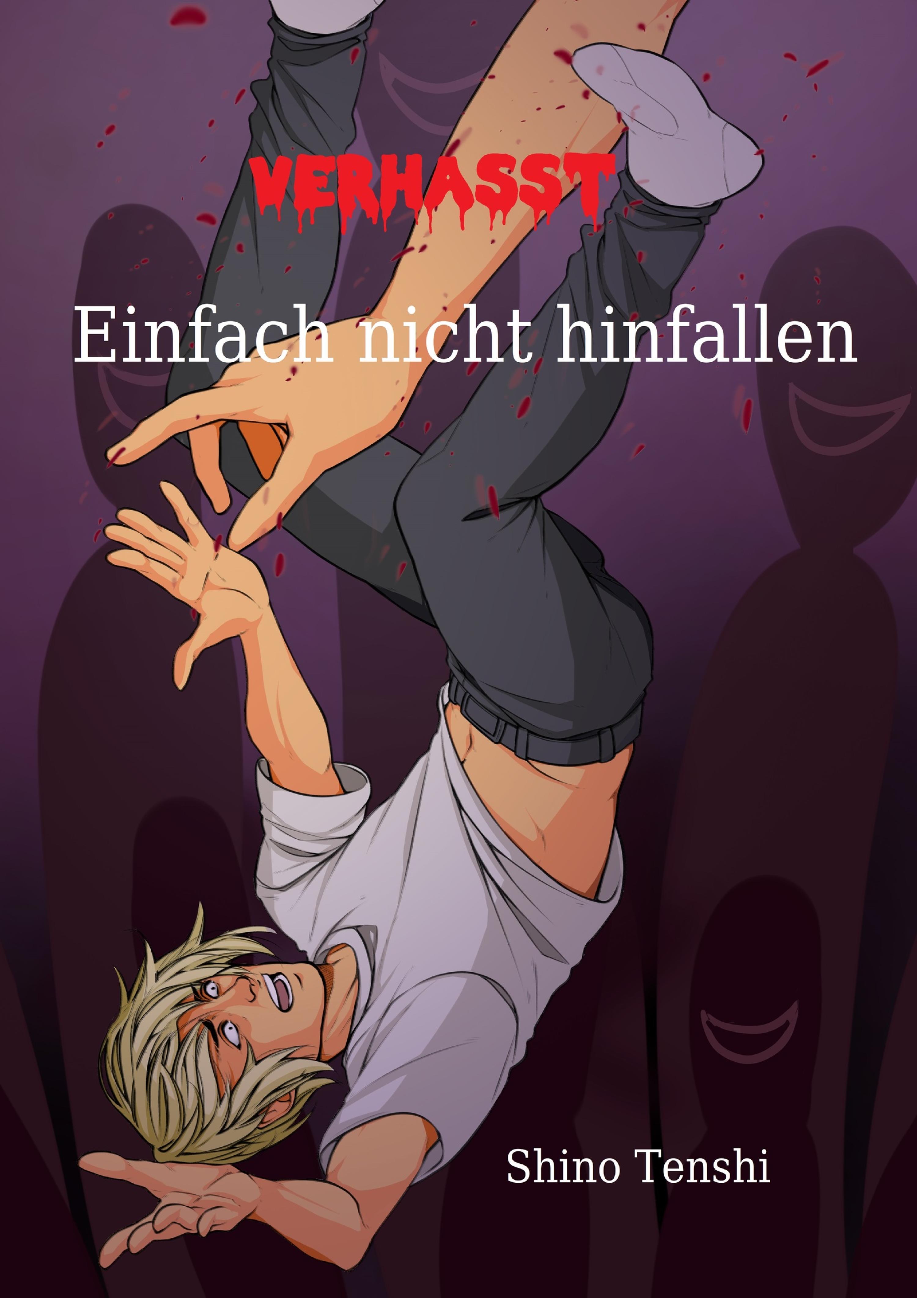 Обложка книги «Einfach nicht hinfallen»
