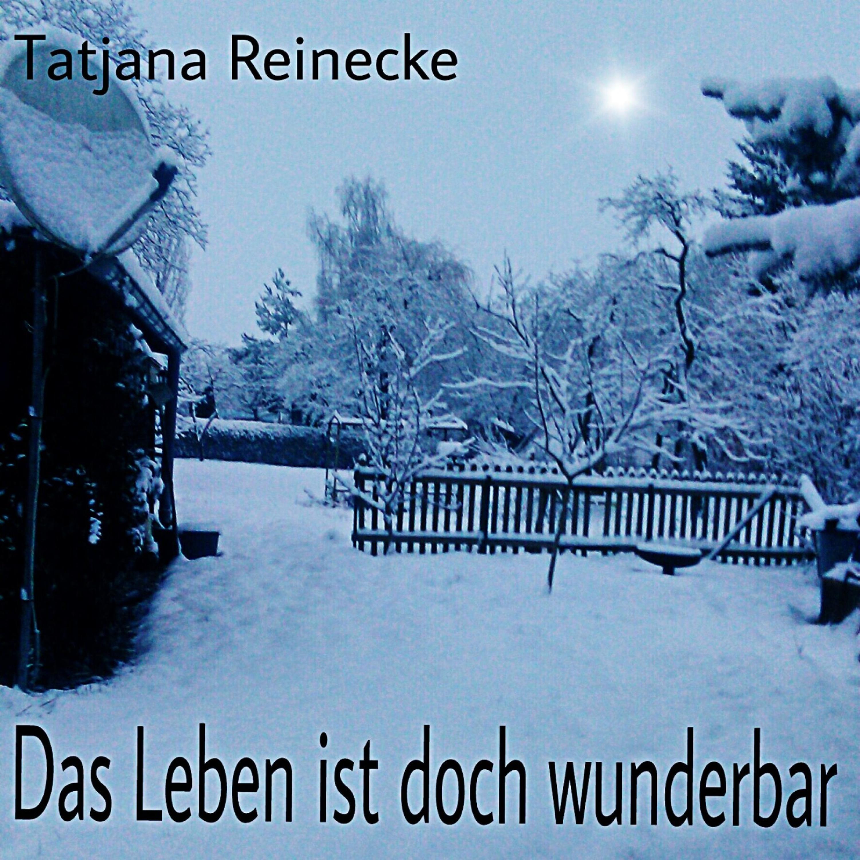 Обложка книги «Das Leben ist doch wunderbar»