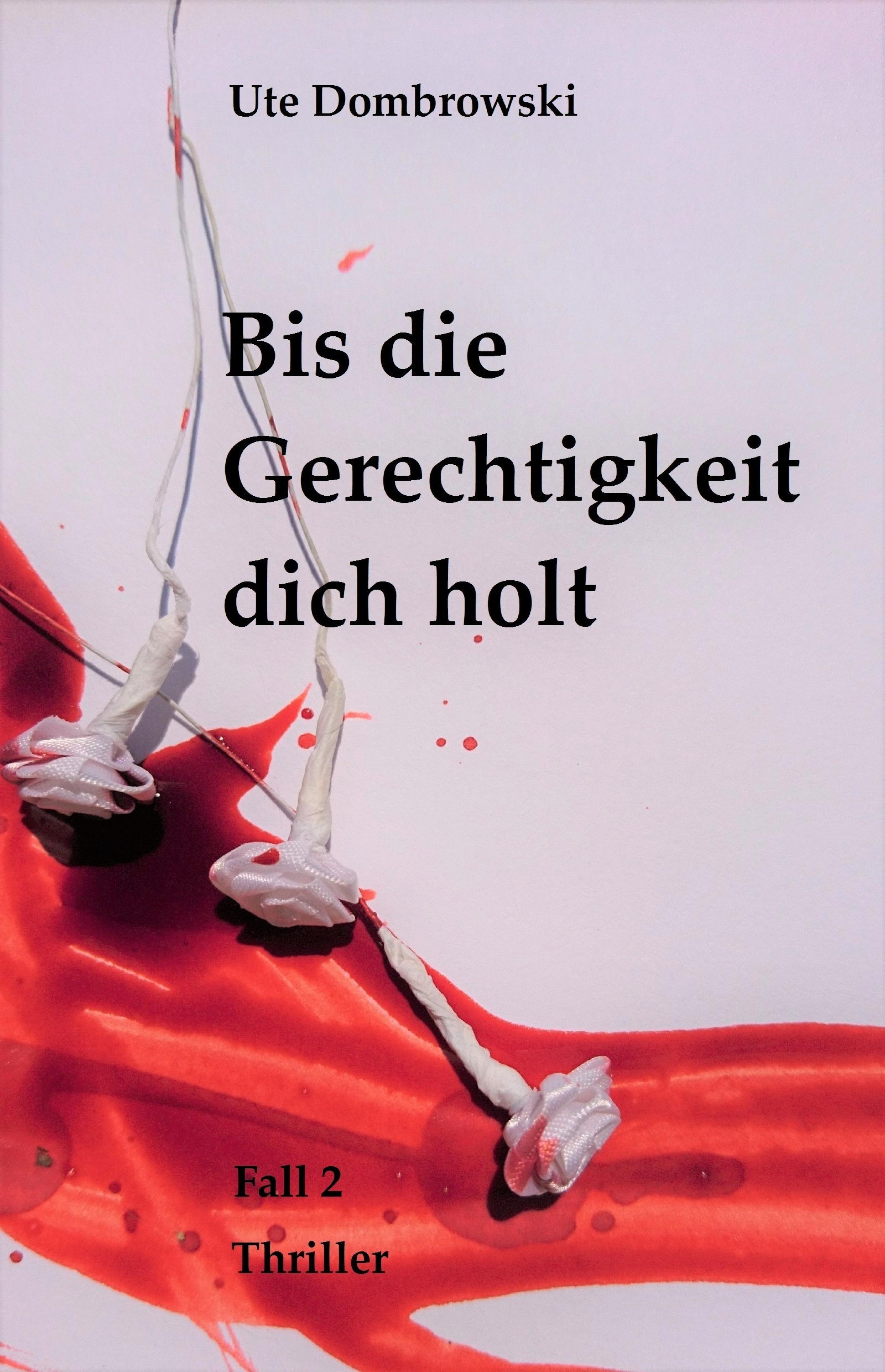 Обложка книги «Bis die Gerechtigkeit dich holt»