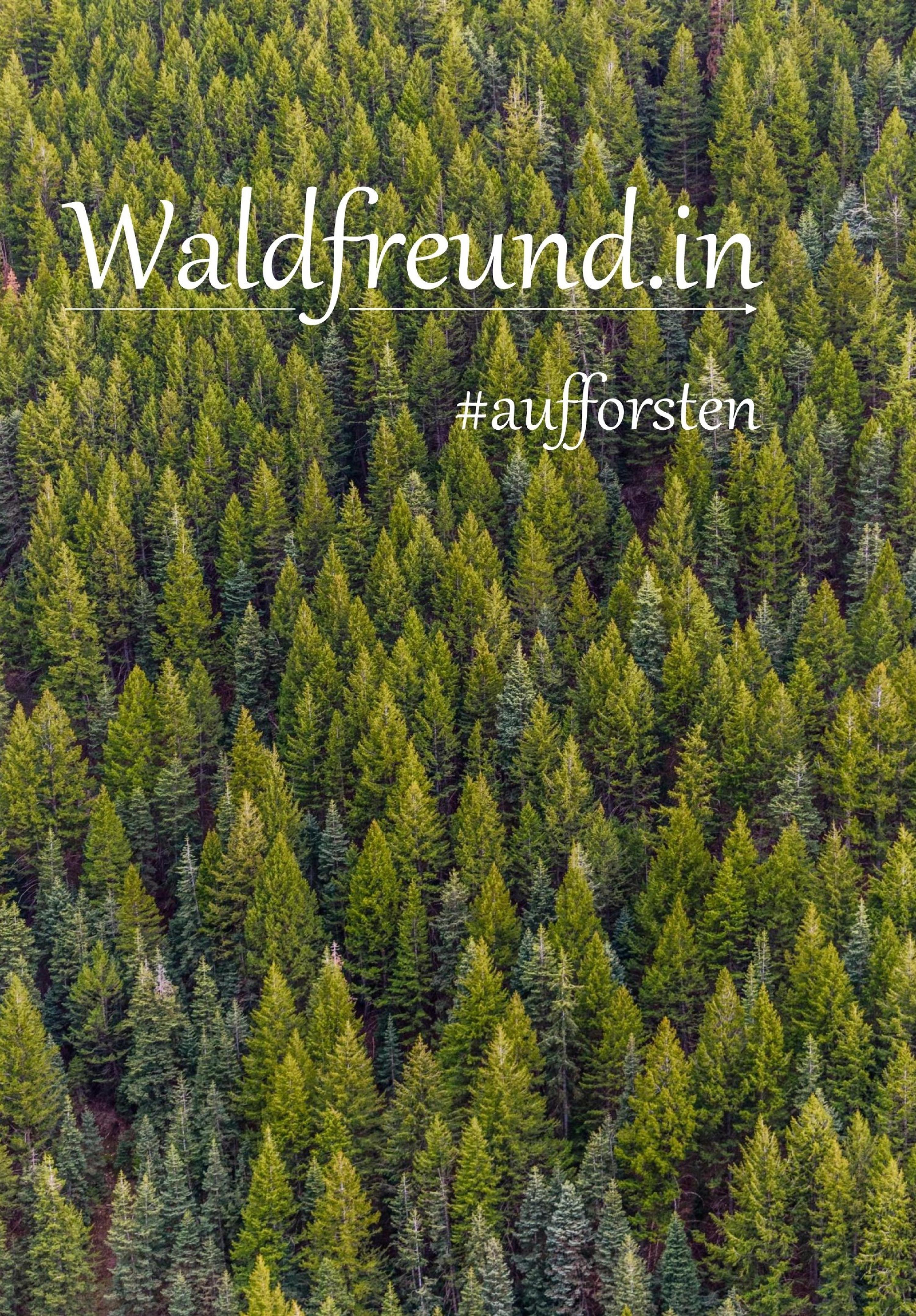 Обложка книги «Waldfreund.in»
