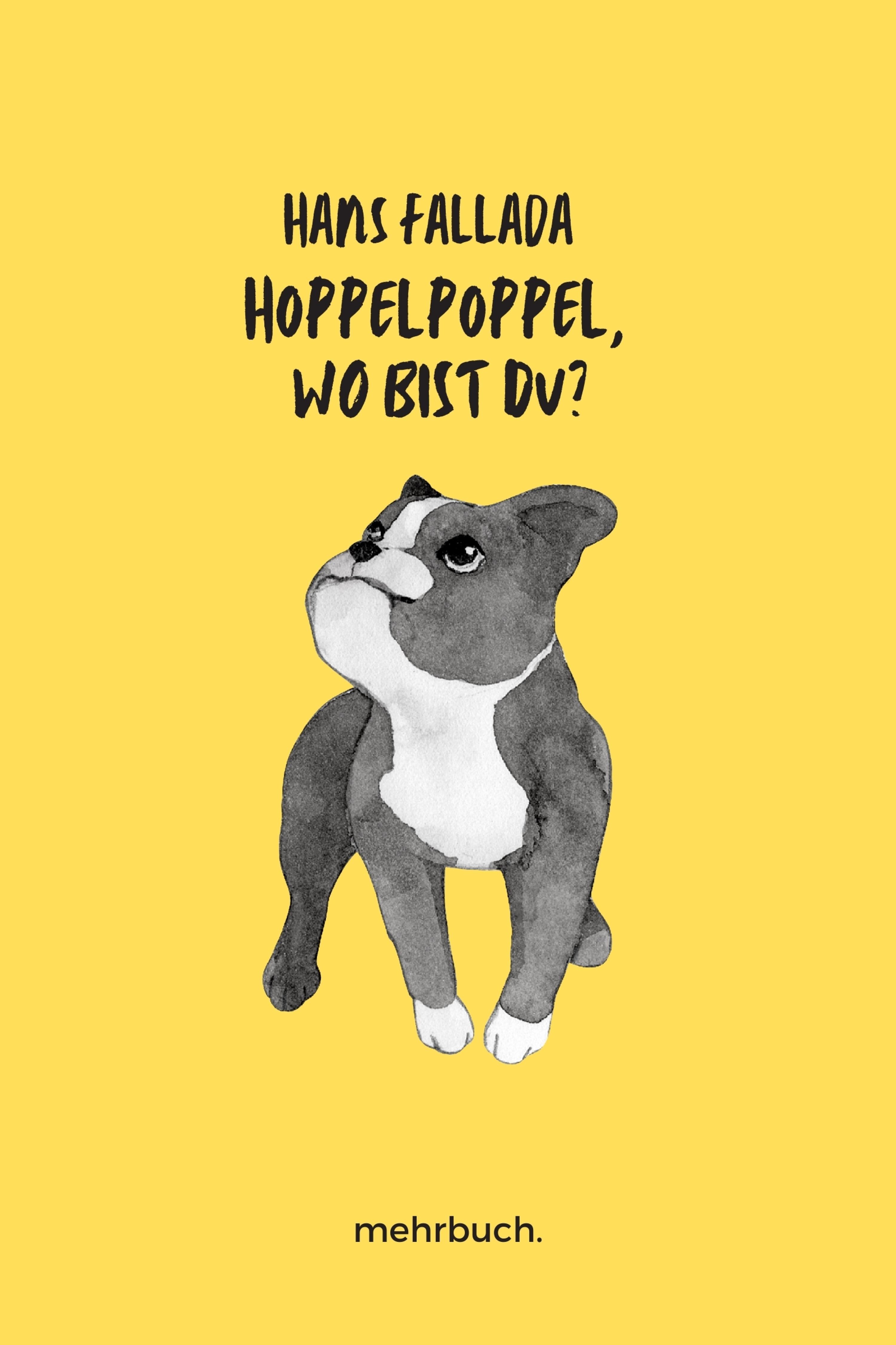 Обложка книги «Hoppelpoppel, wo bist du?»