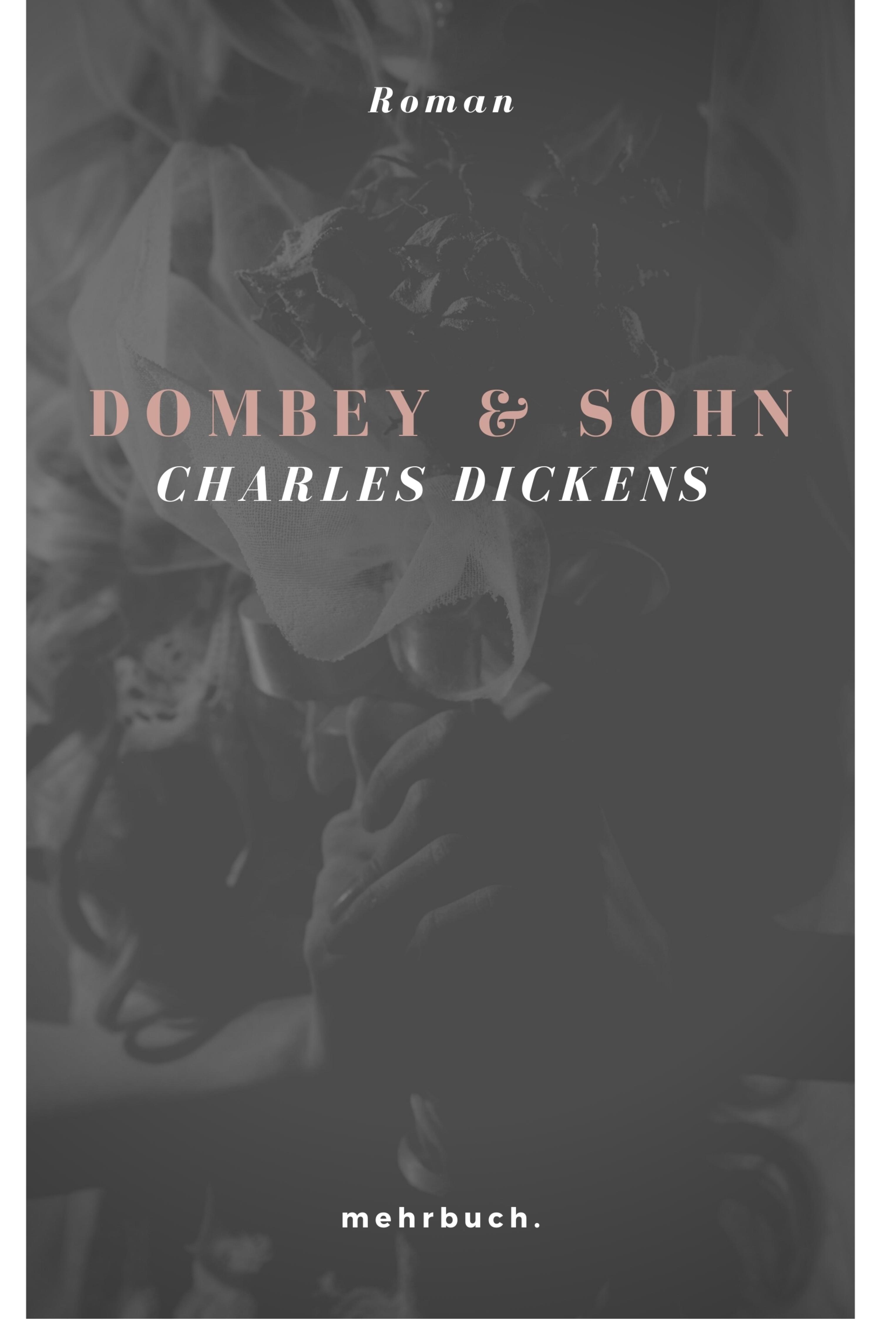 Обложка книги «Dombey und Sohn»