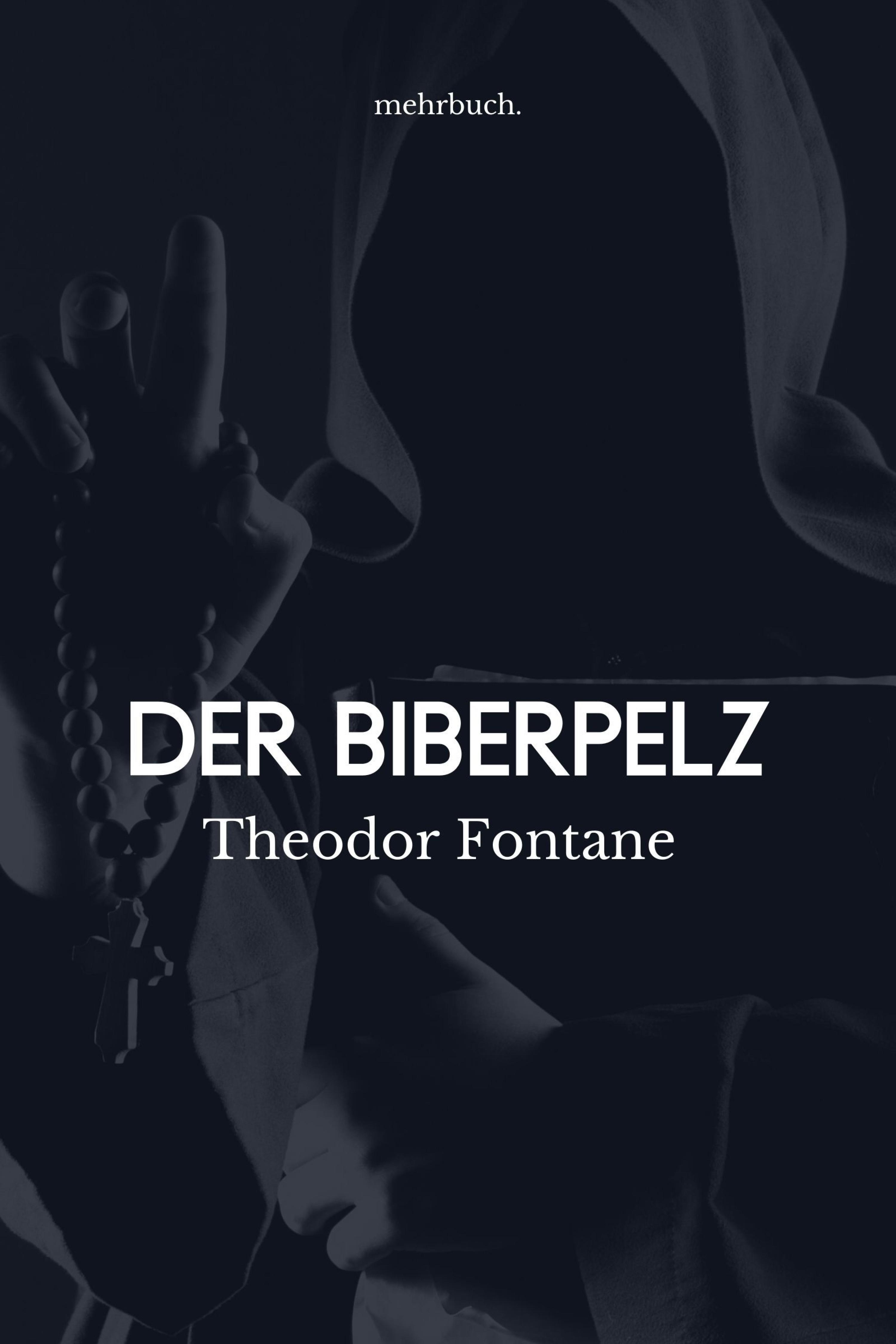 Обложка книги «Der Biberpelz»