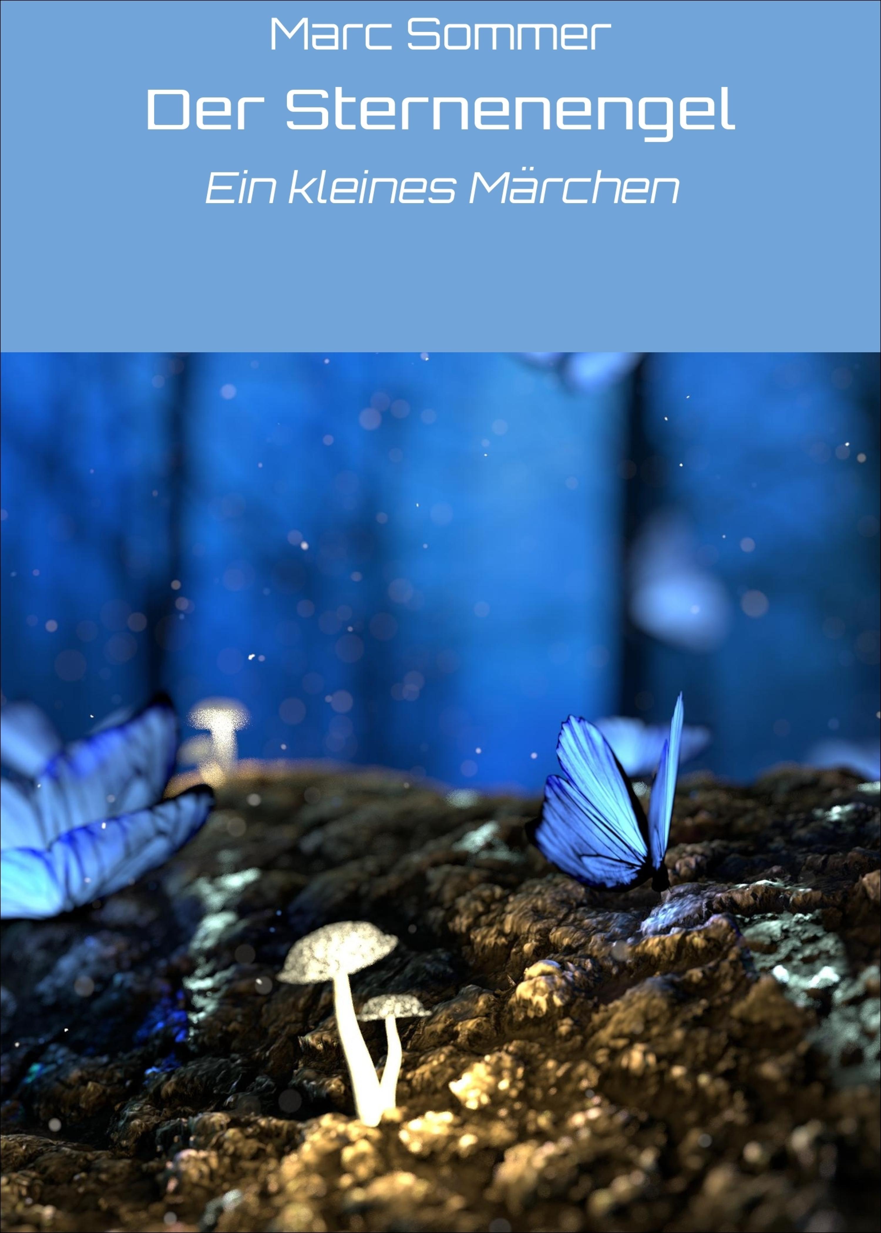 Обложка книги «Der Sternenengel»