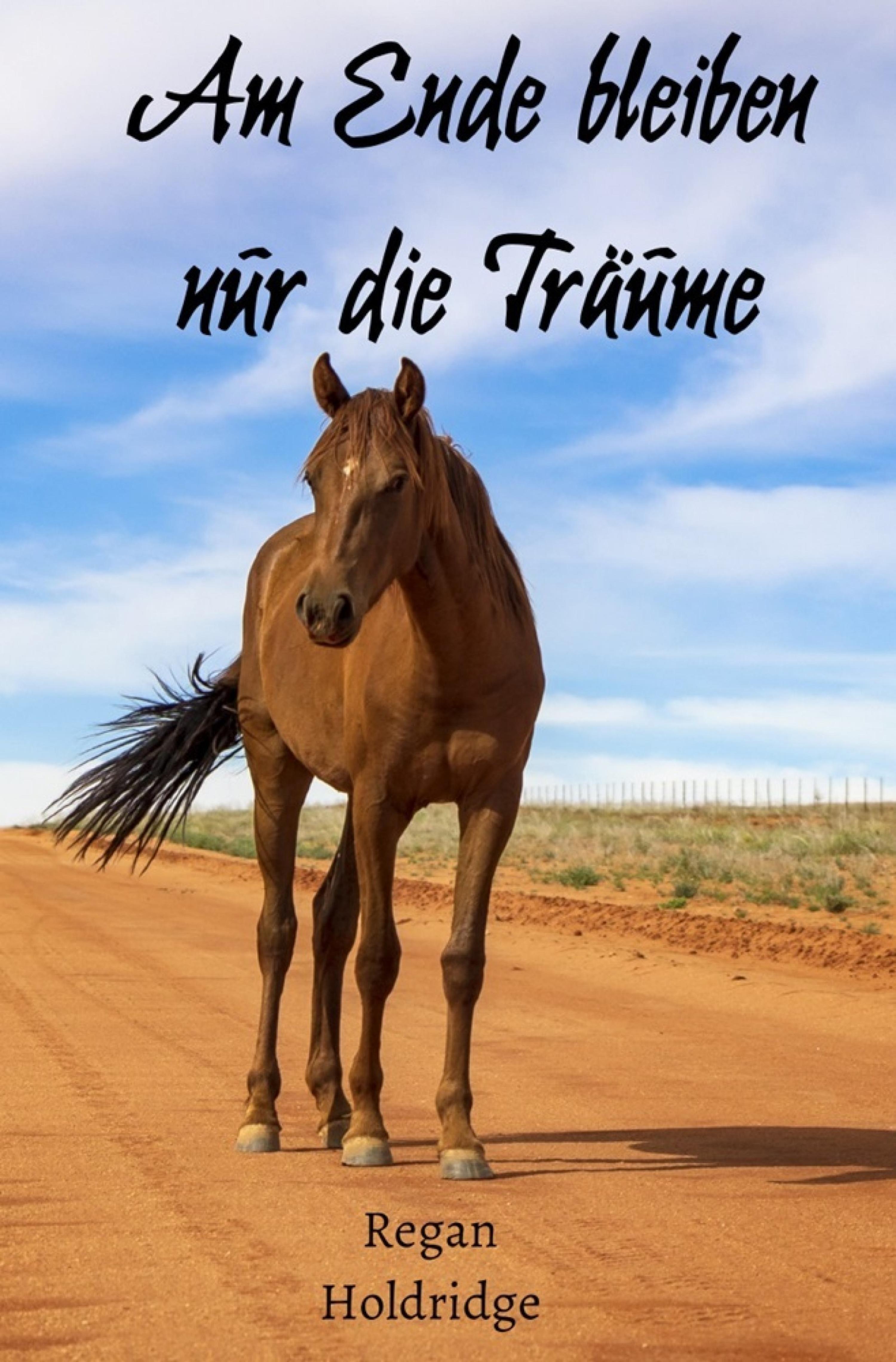 Обложка книги «Am Ende bleiben nur die Träume»