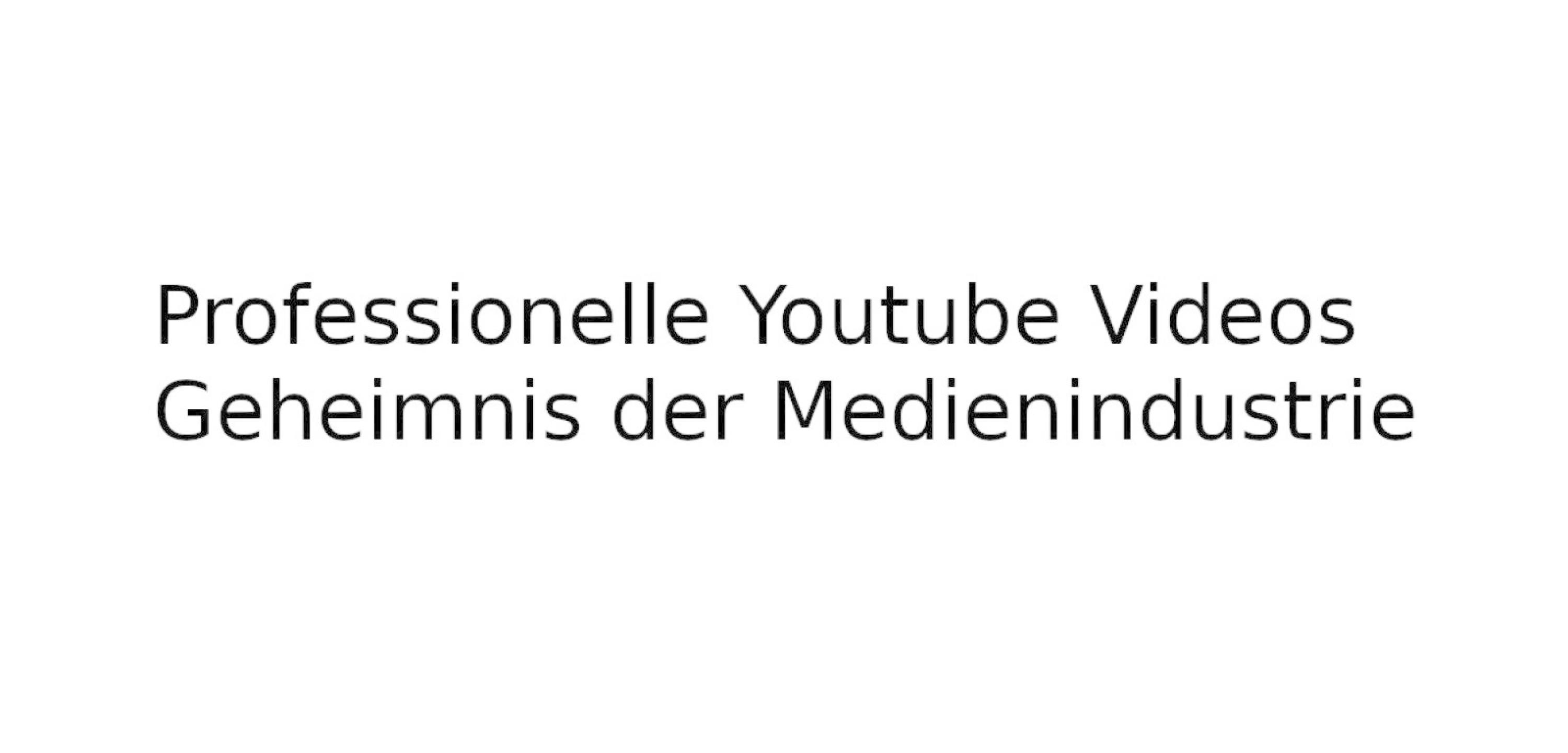 Обложка книги «Professionelle Youtube Videos»
