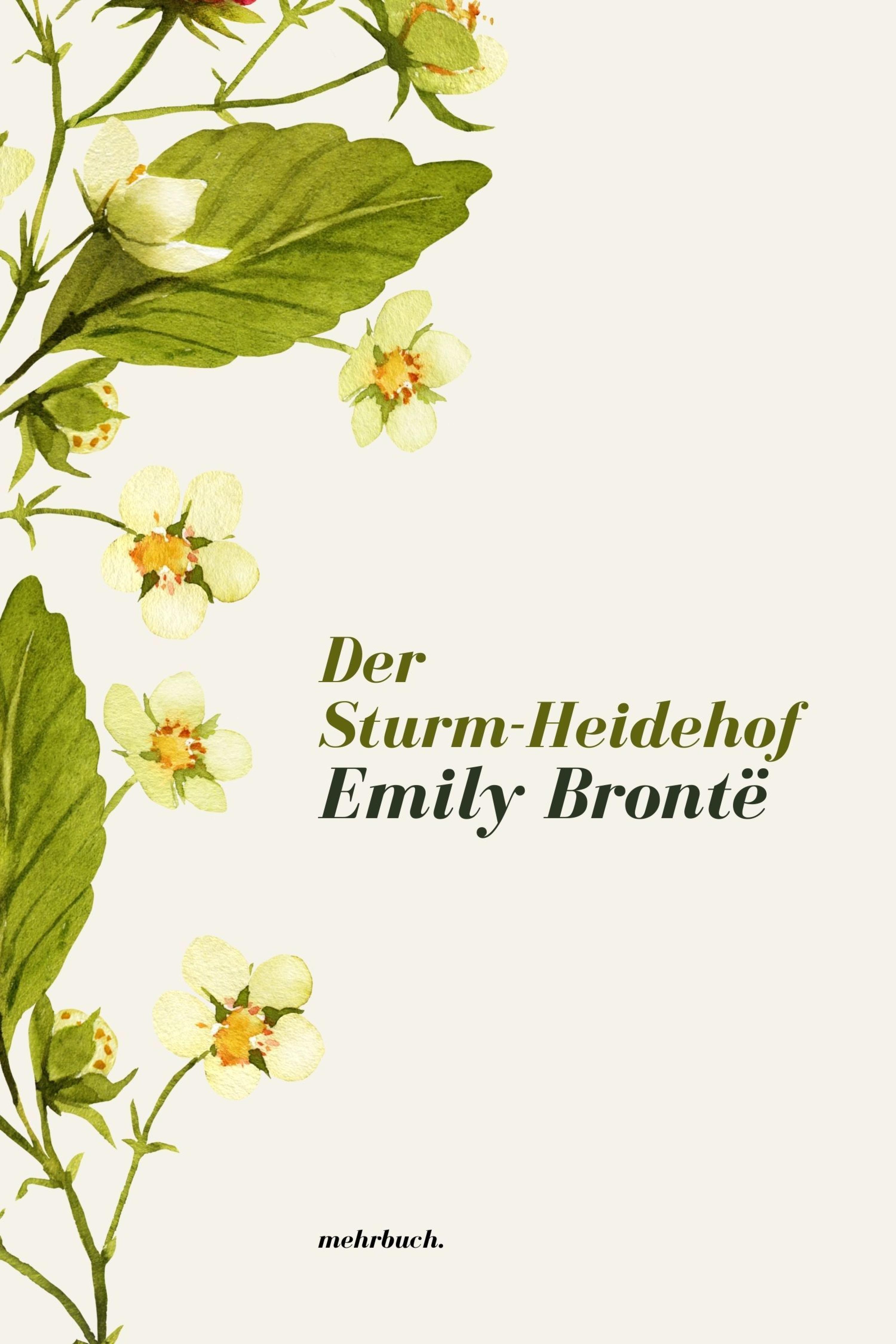 Обложка книги «Der Sturm-Heidehof»