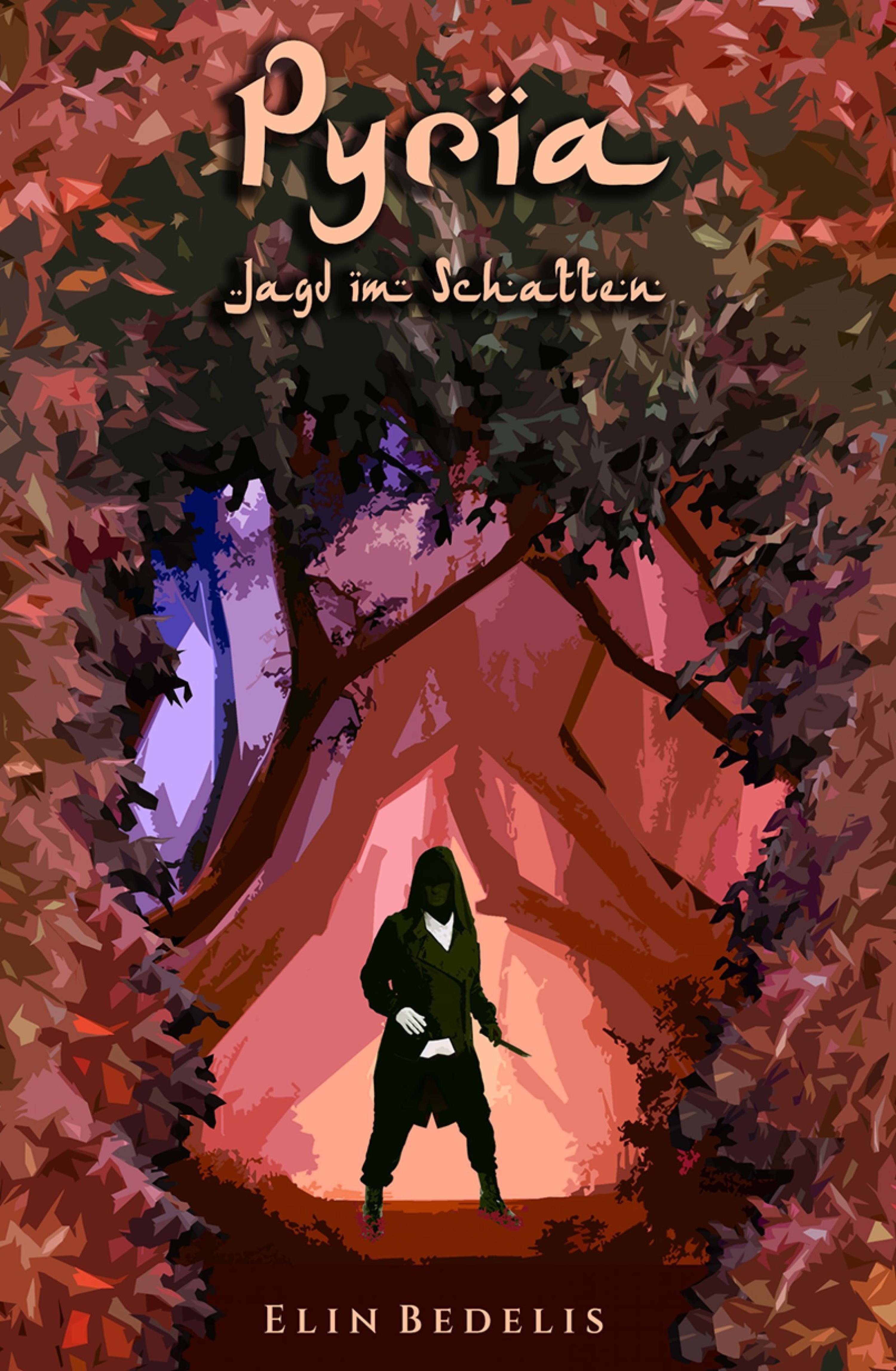 Обложка книги «Pyria»
