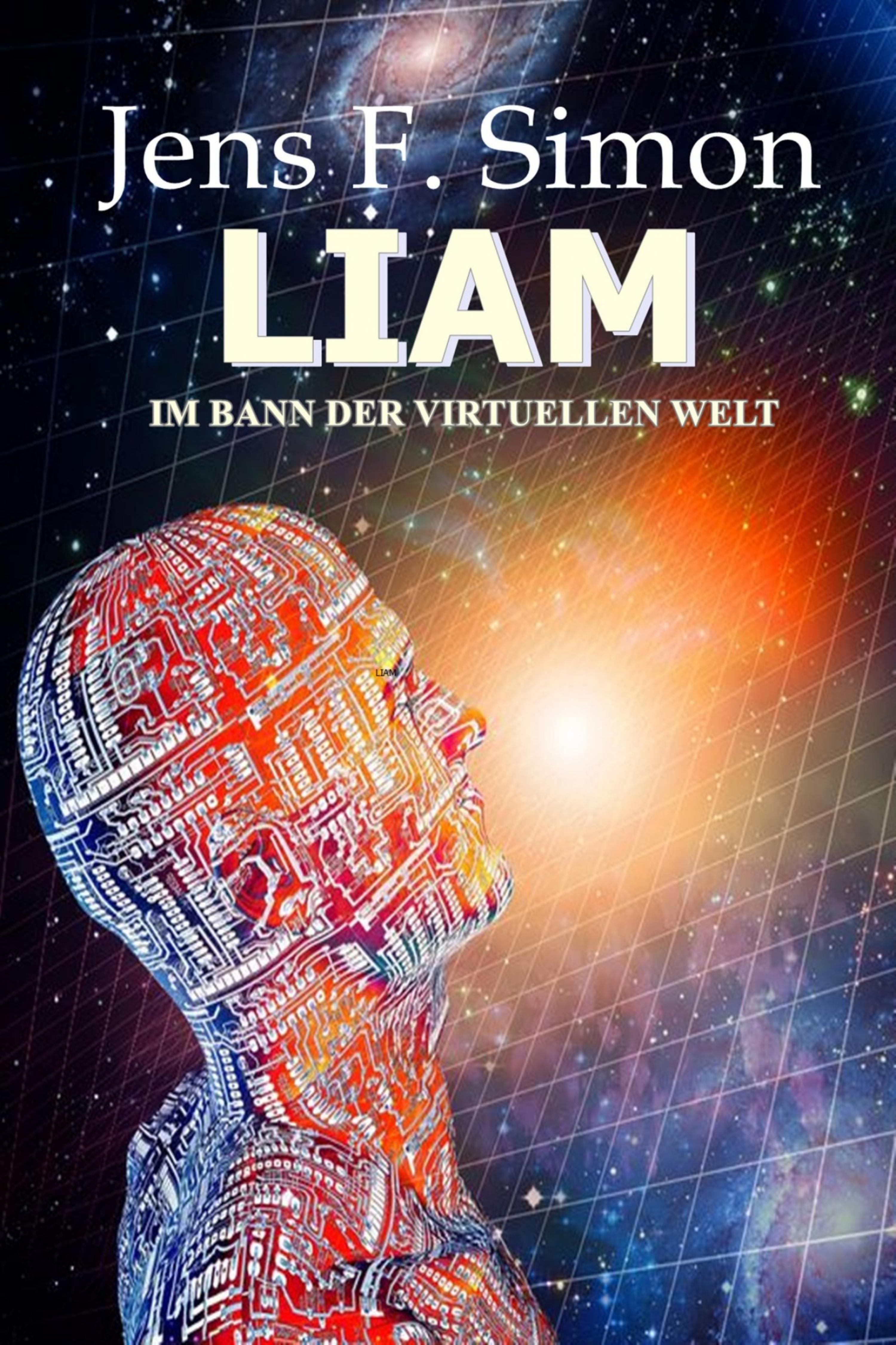 Обложка книги «LIAM»
