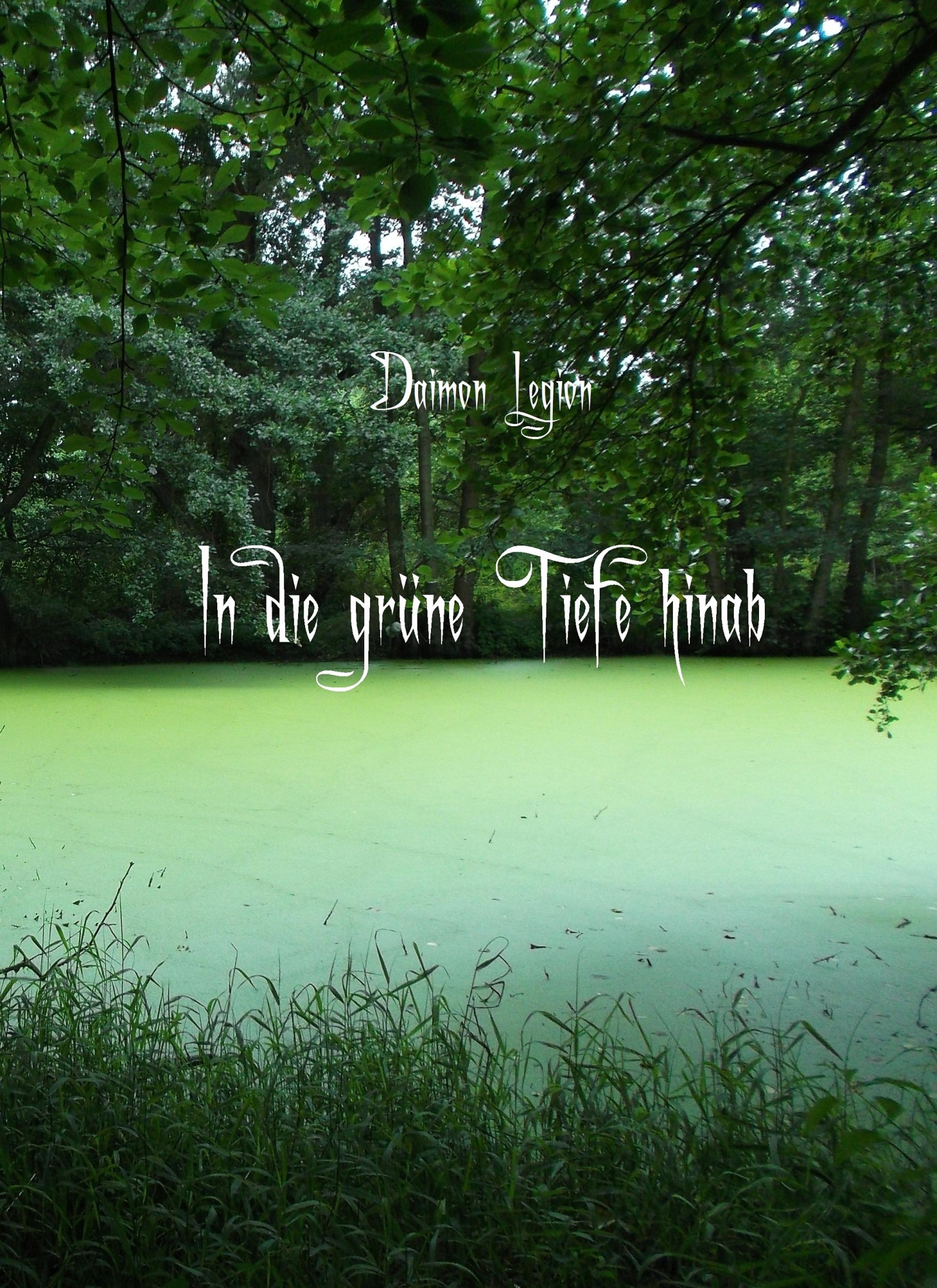Обложка книги «In die grüne Tiefe hinab»