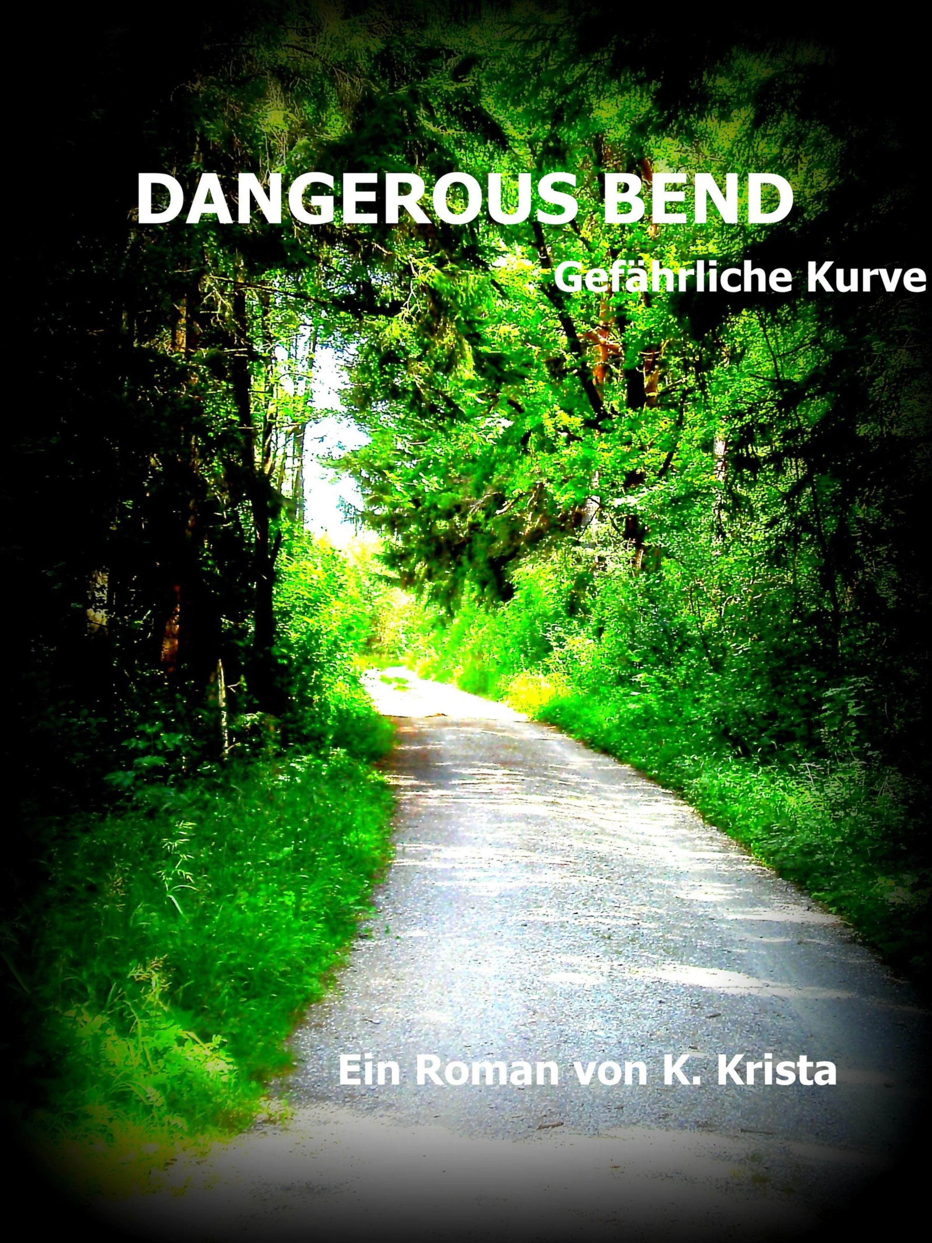 Обложка книги «DANGEROUS BEND»