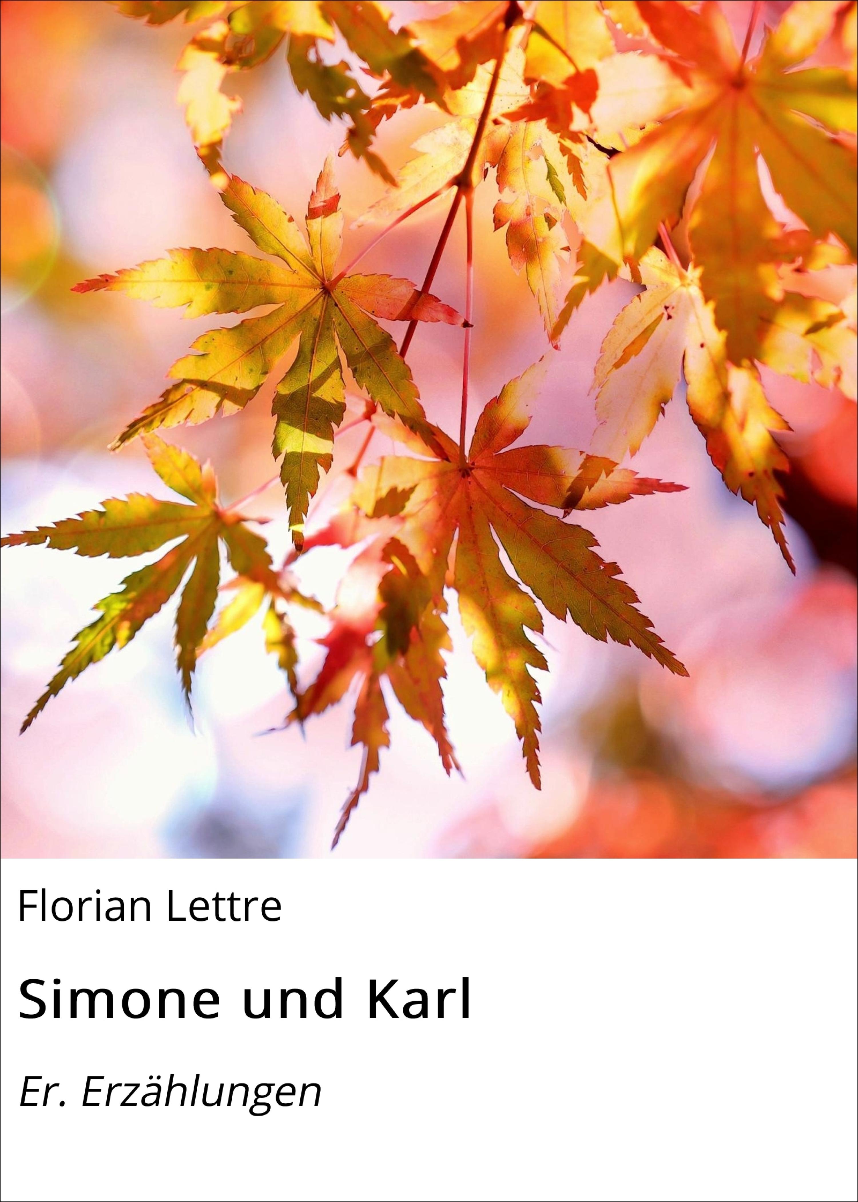 Обложка книги «Simone und Karl»