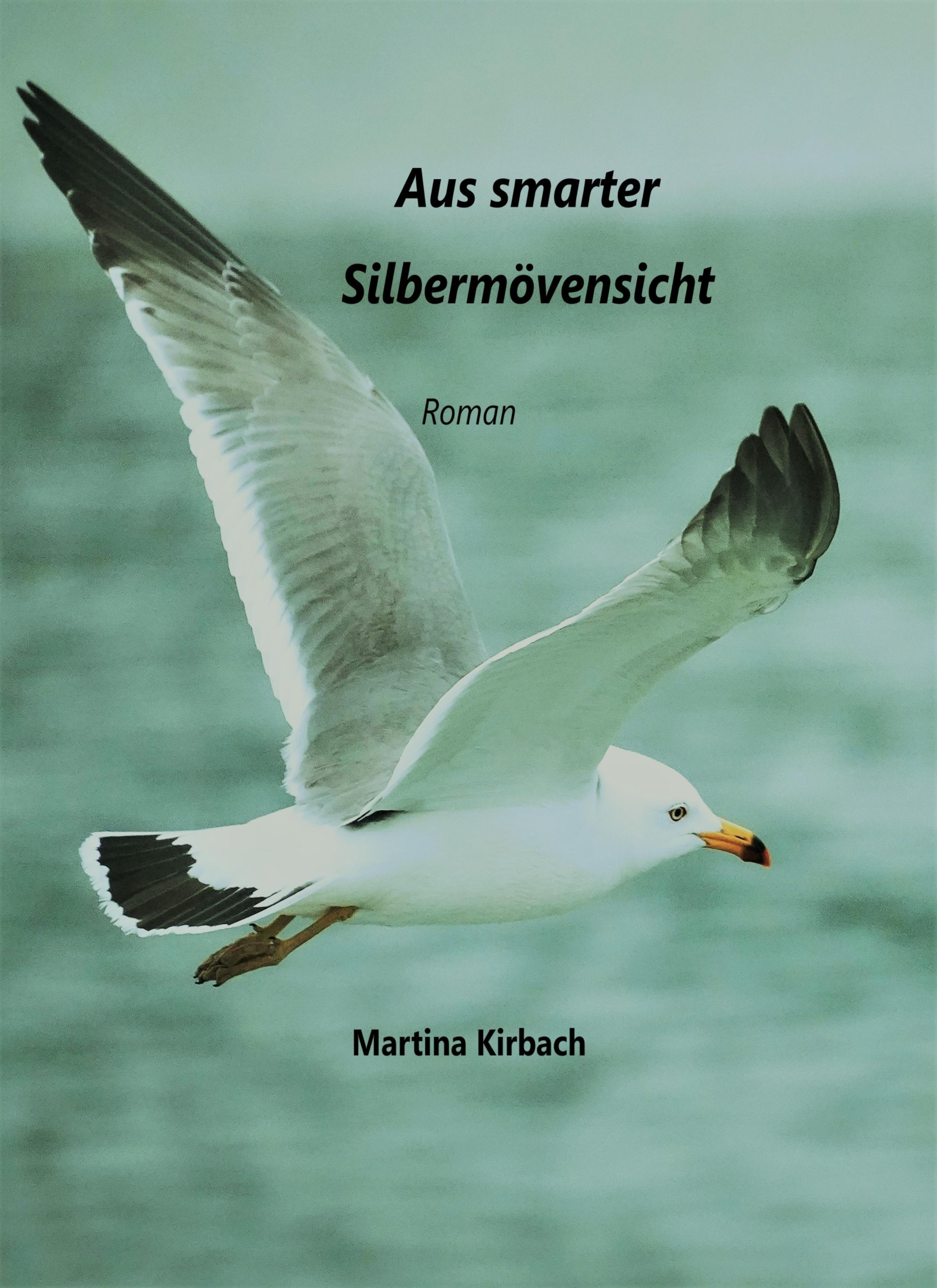 Обложка книги «Aus smarter Silbermöwensicht»
