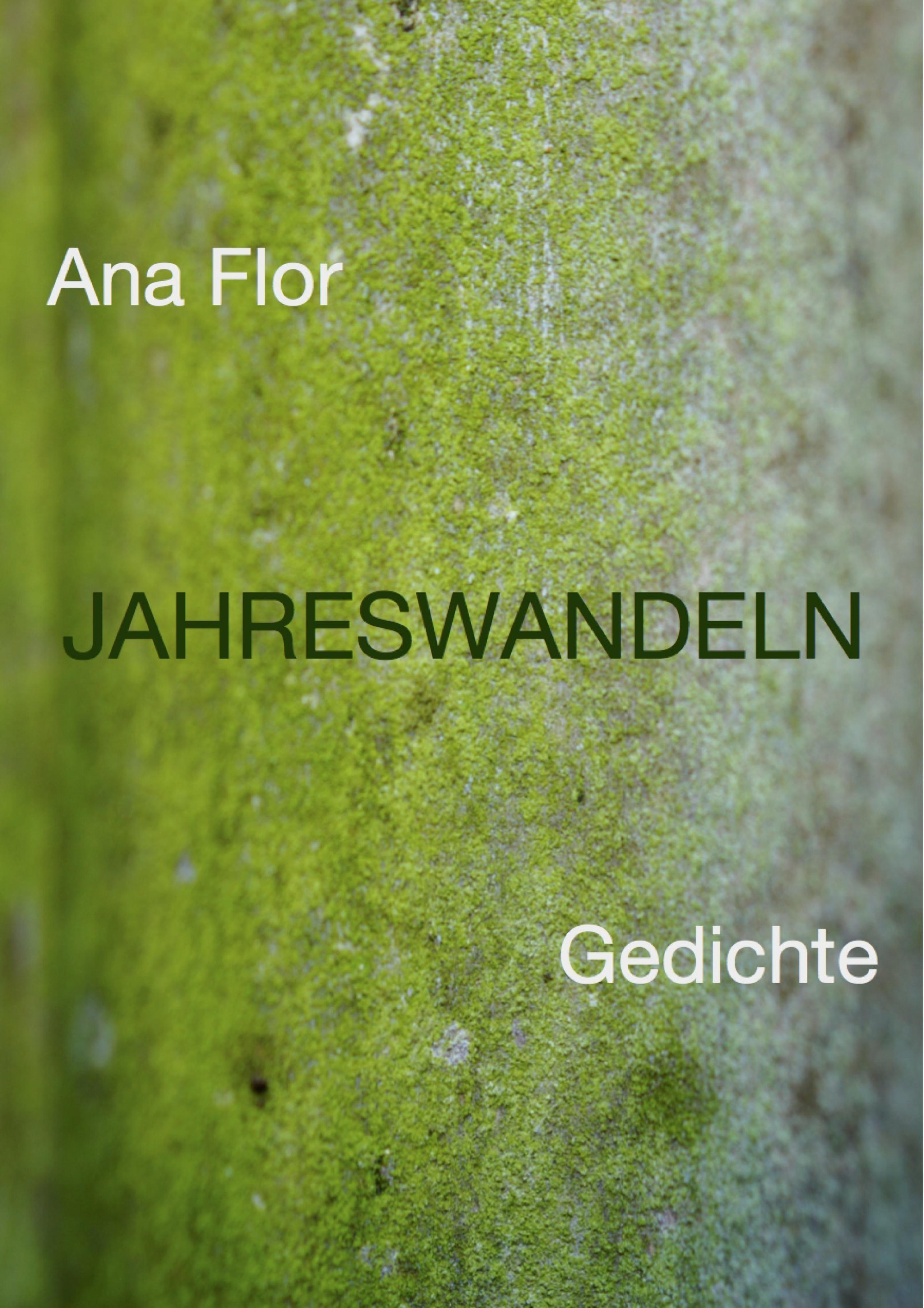 Обложка книги «Jahreswandeln»