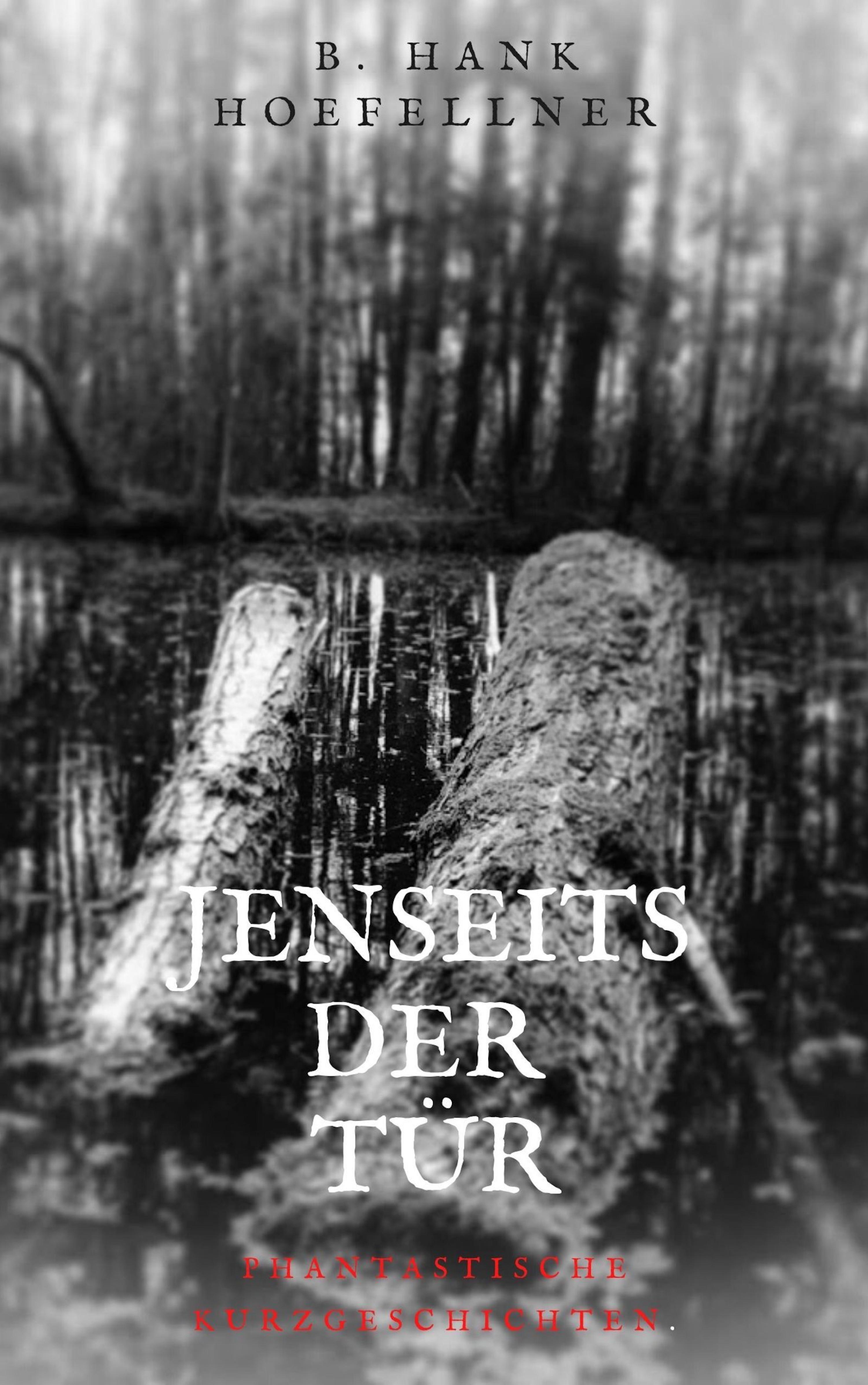 Обложка книги «Jenseits der Tür»
