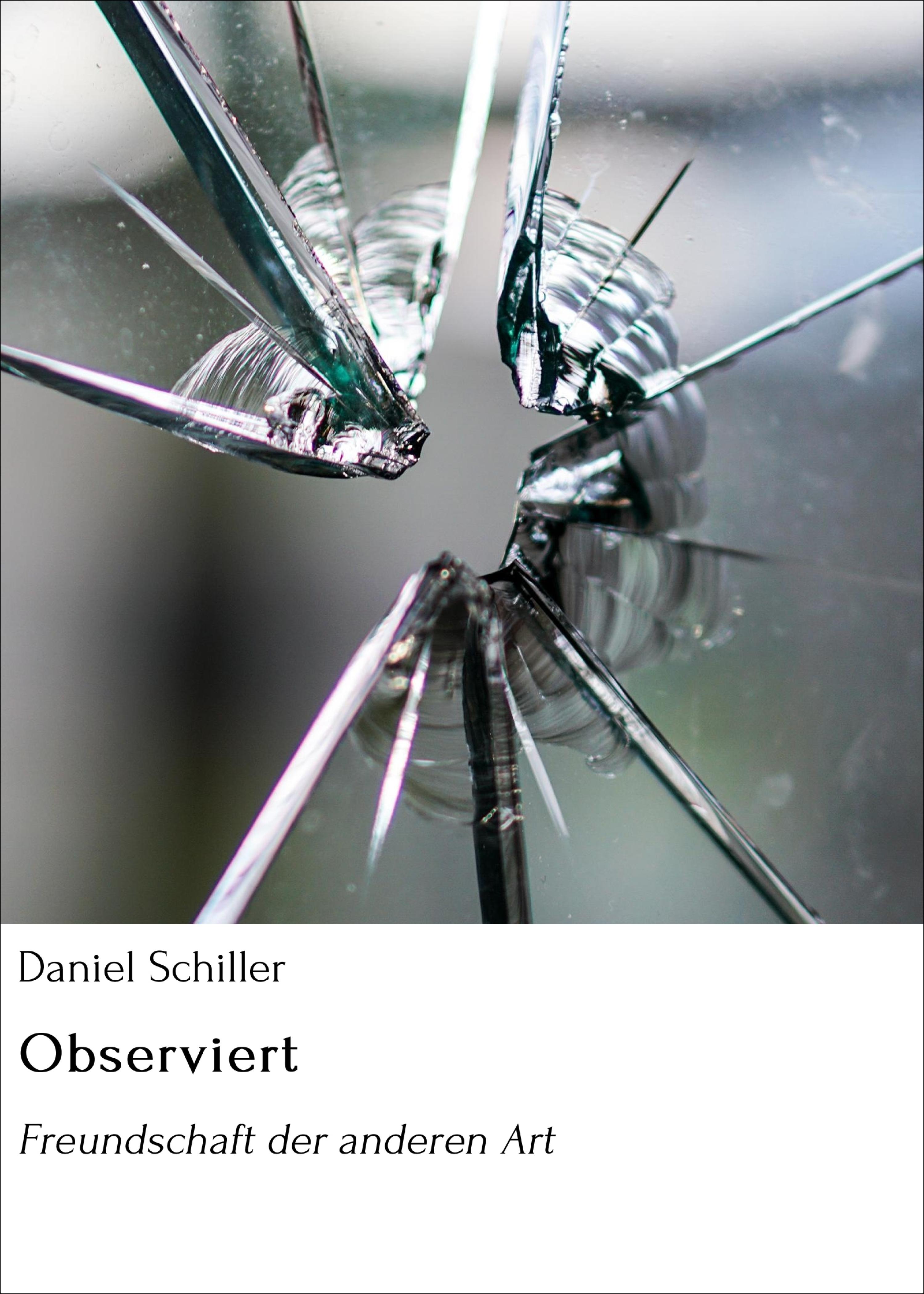Обложка книги «Observiert»