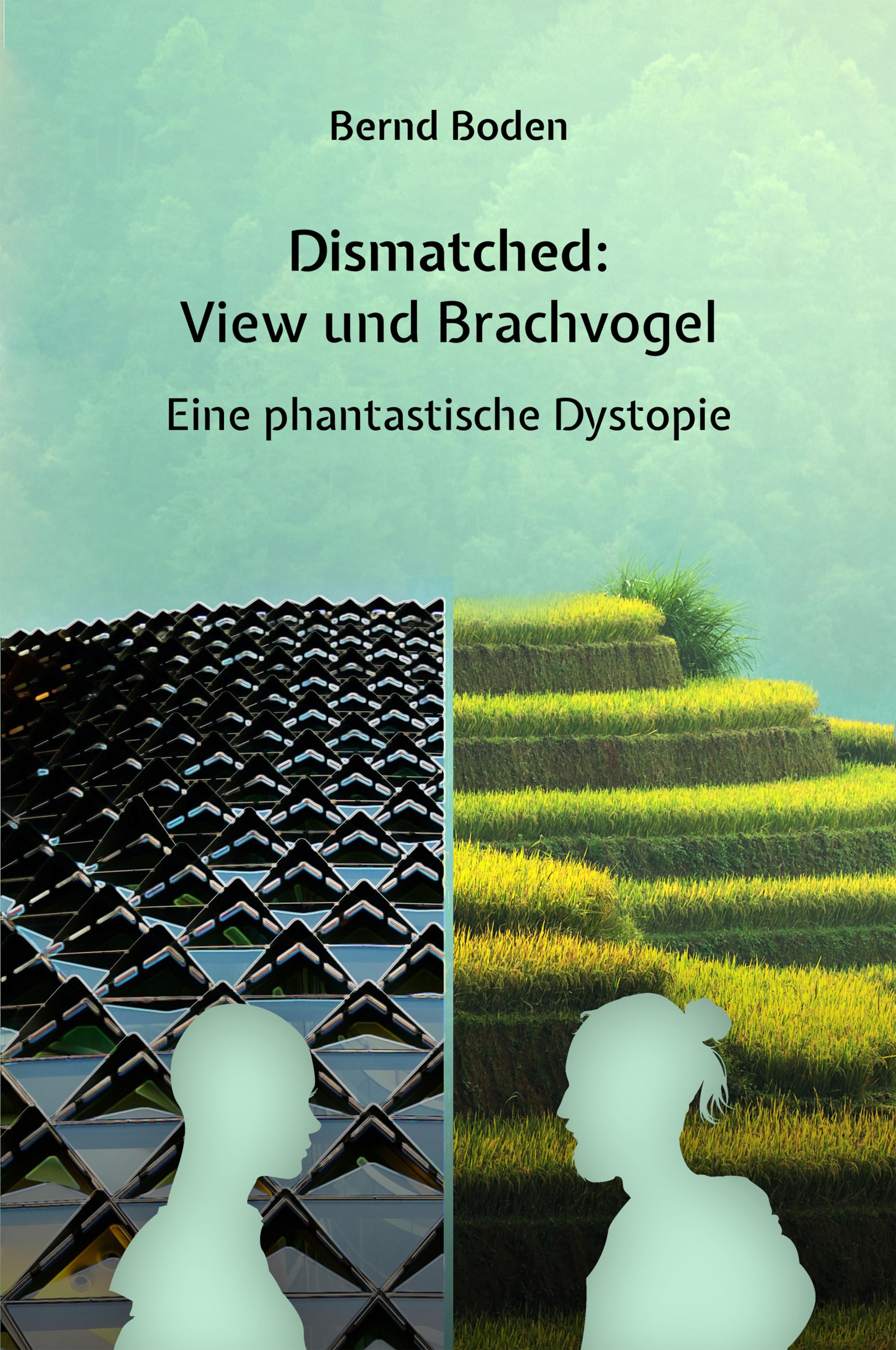 Обложка книги «Dismatched: View und Brachvogel»