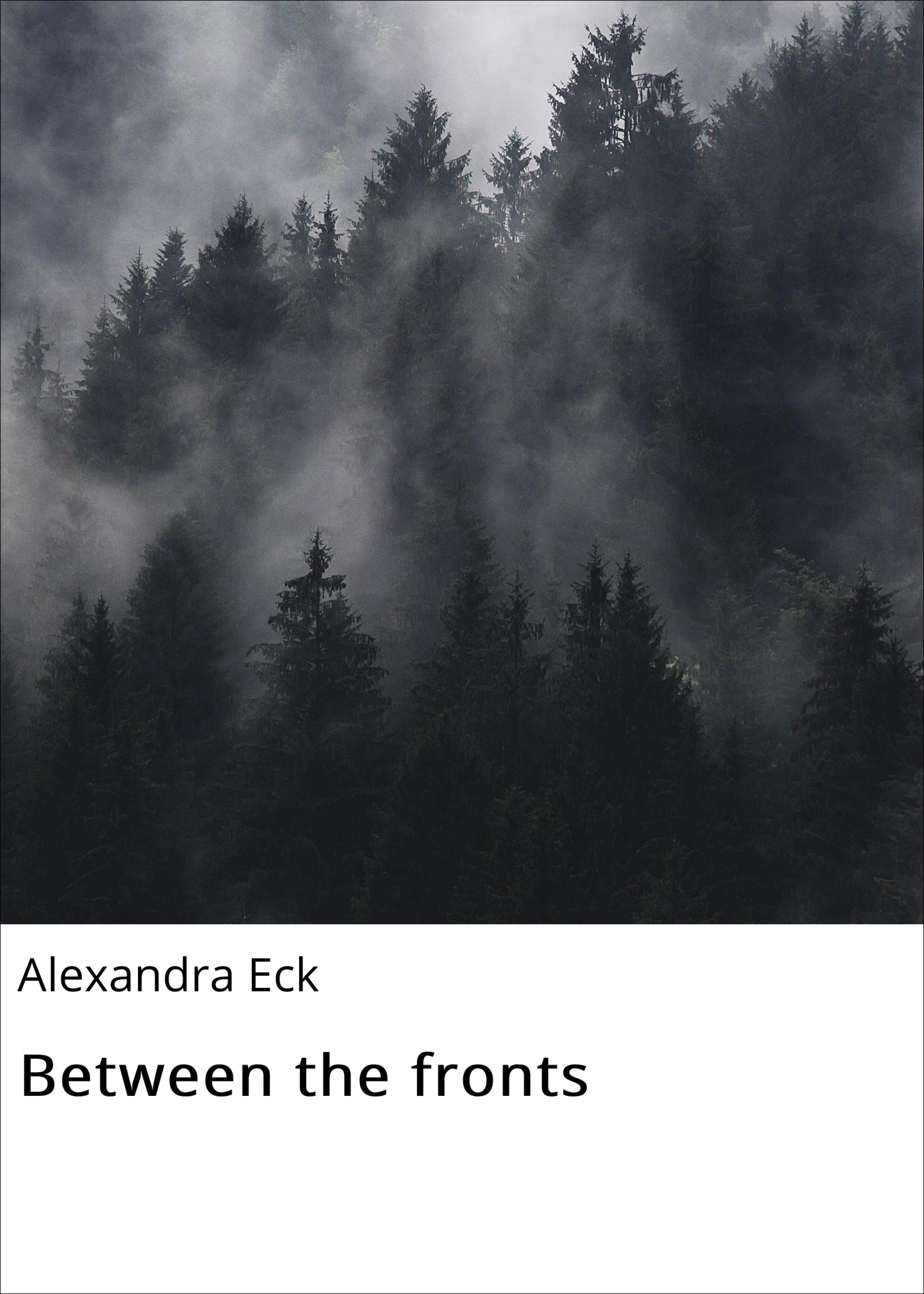 Обложка книги «Between the fronts»