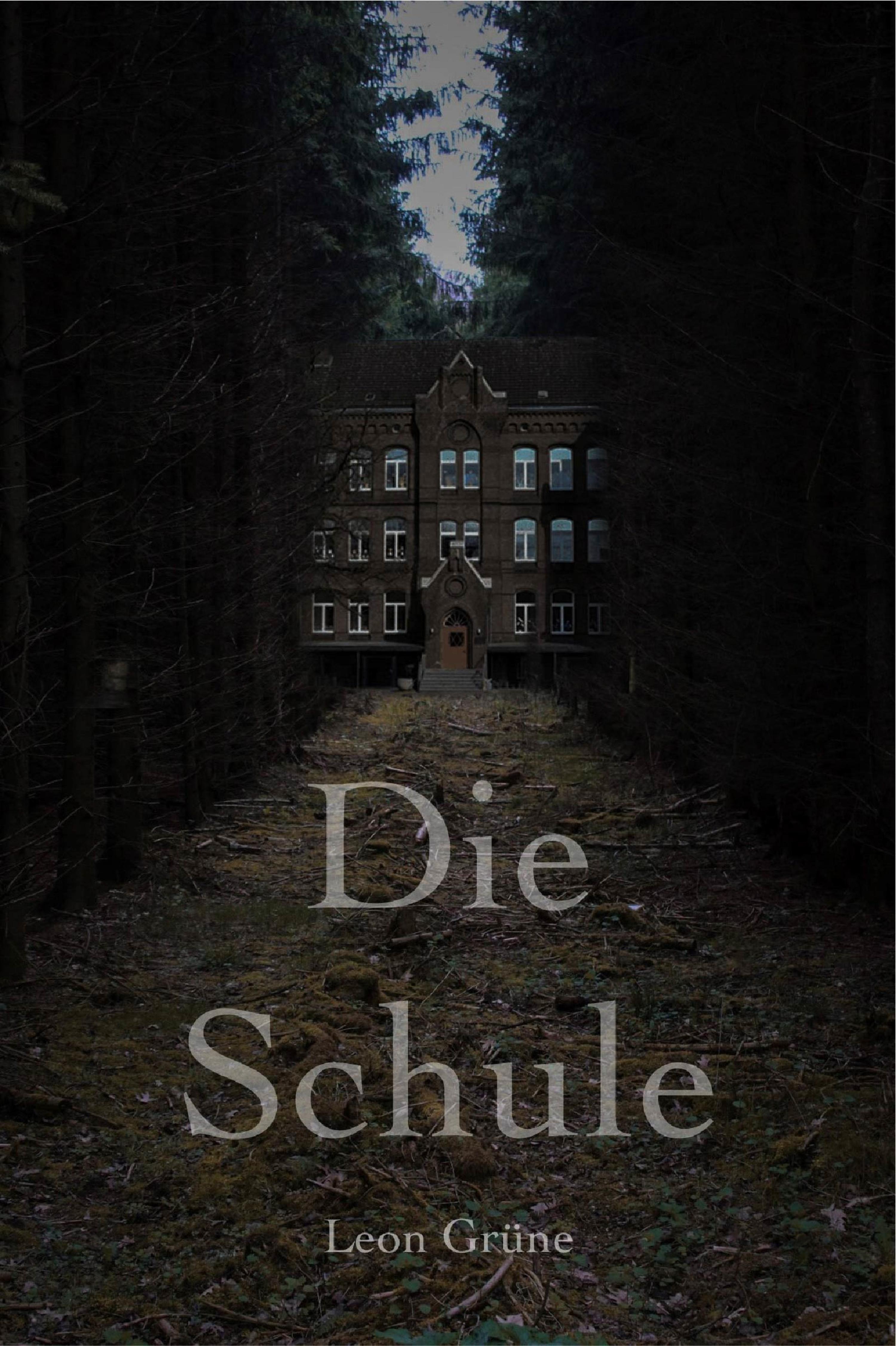 Обложка книги «Die Schule»