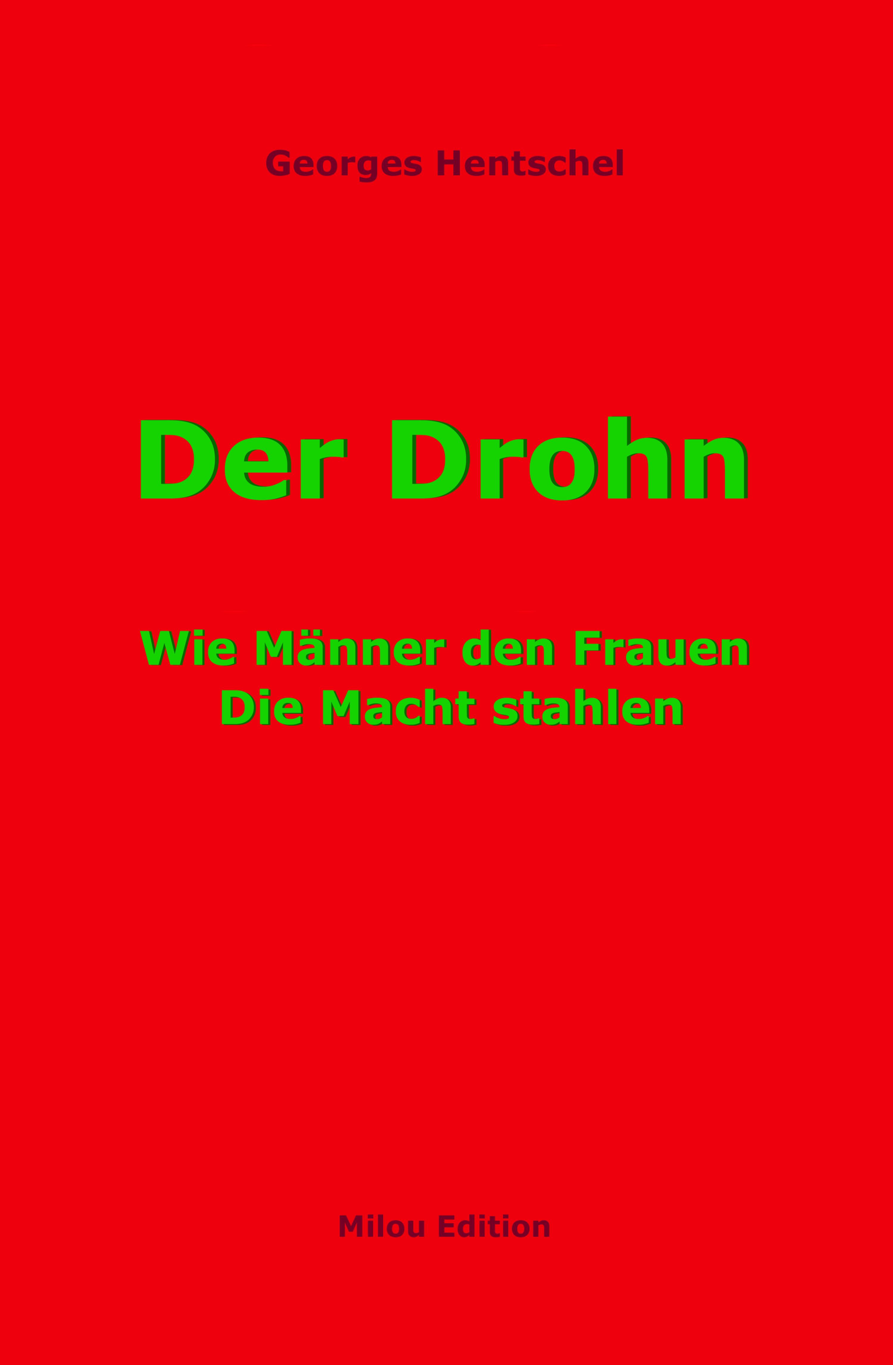 Обложка книги «Der Drohn»