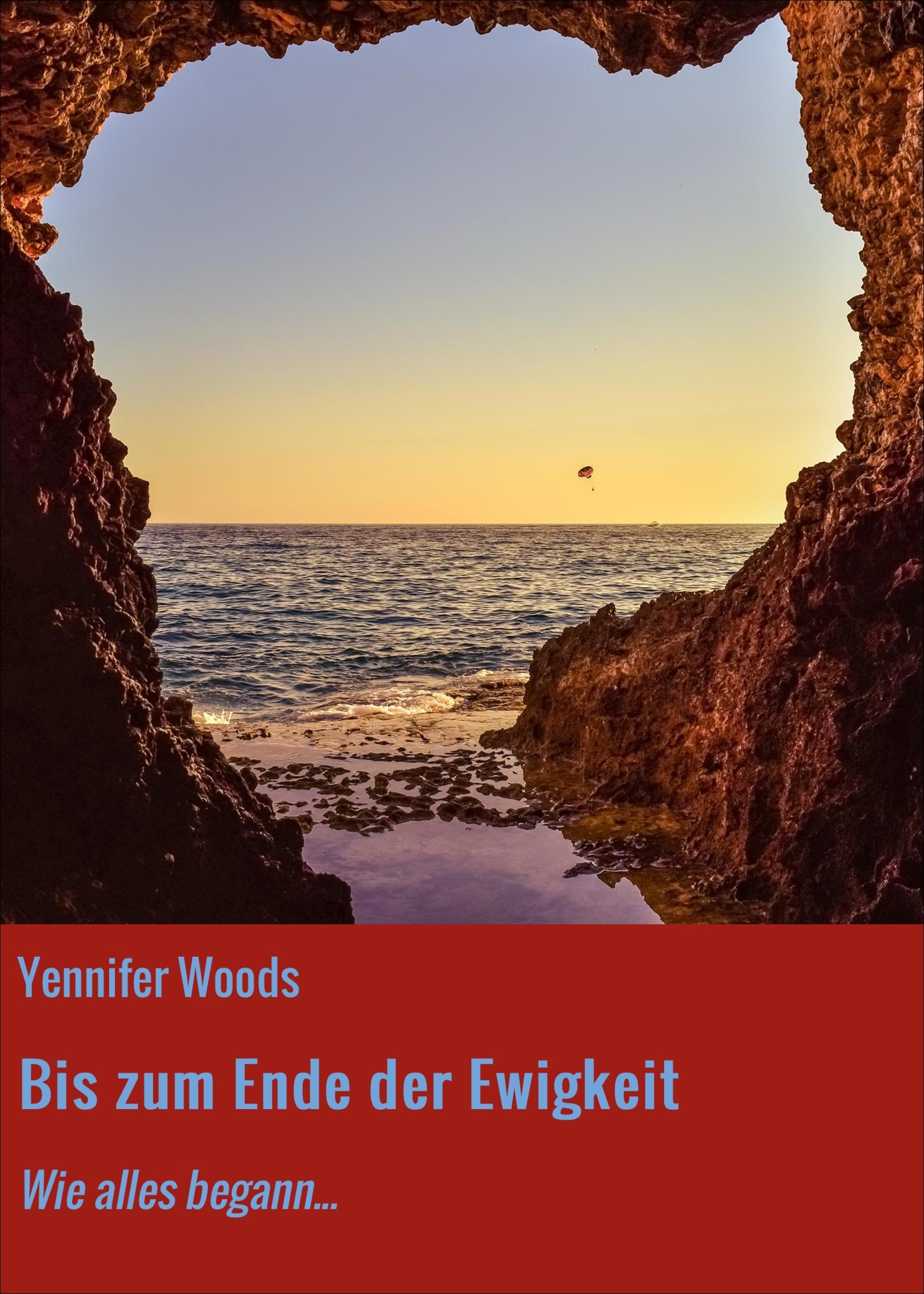 Обложка книги «Bis zum Ende der Ewigkeit»