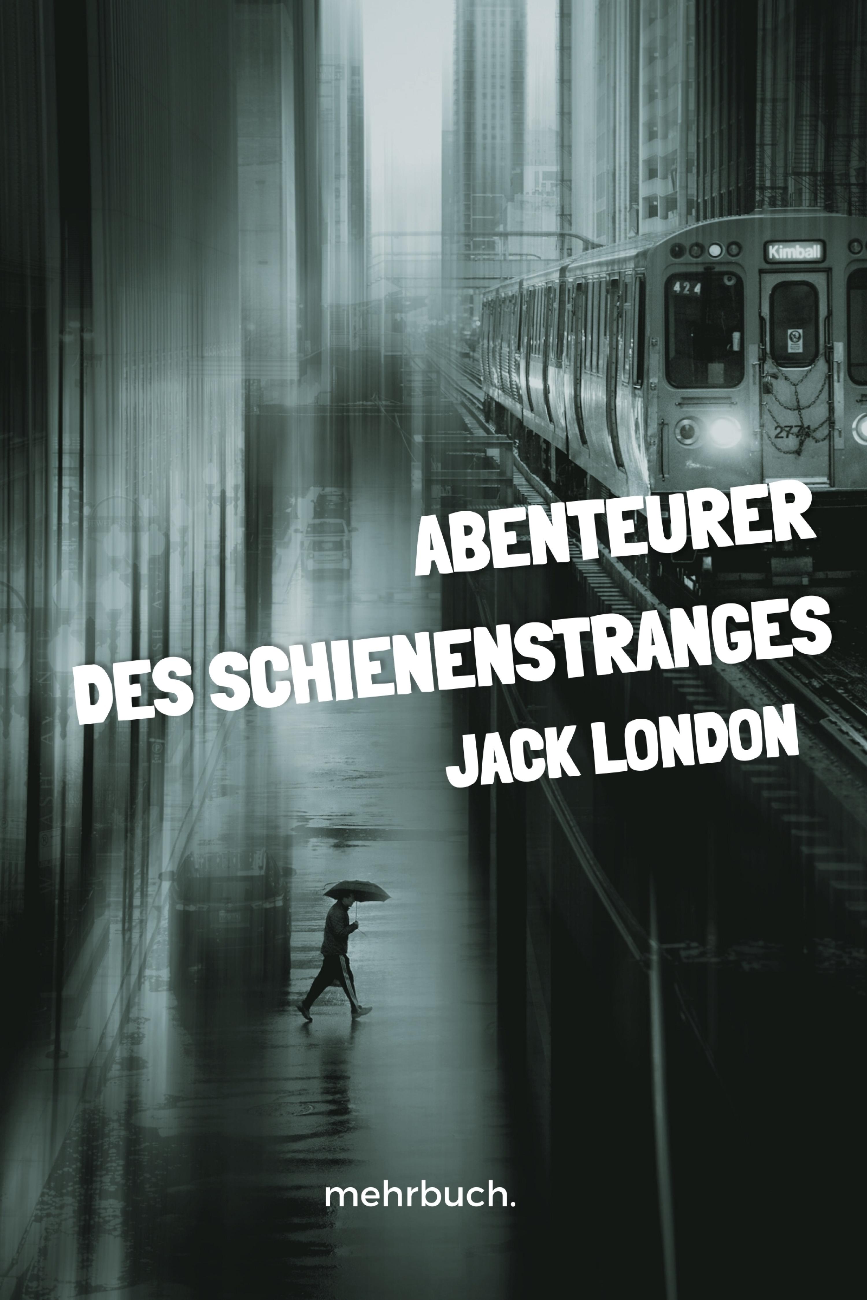 Обложка книги «Abenteurer des Schienenstranges»