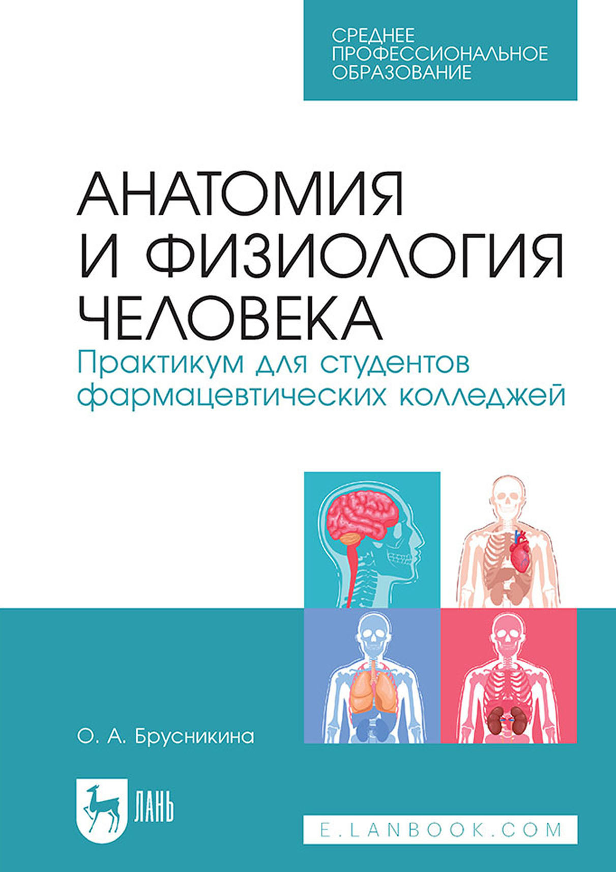 Обложка книги «Анатомия и физиология человека. Практикум для студентов фармацевтических колледжей. Учебное пособие для СПО»