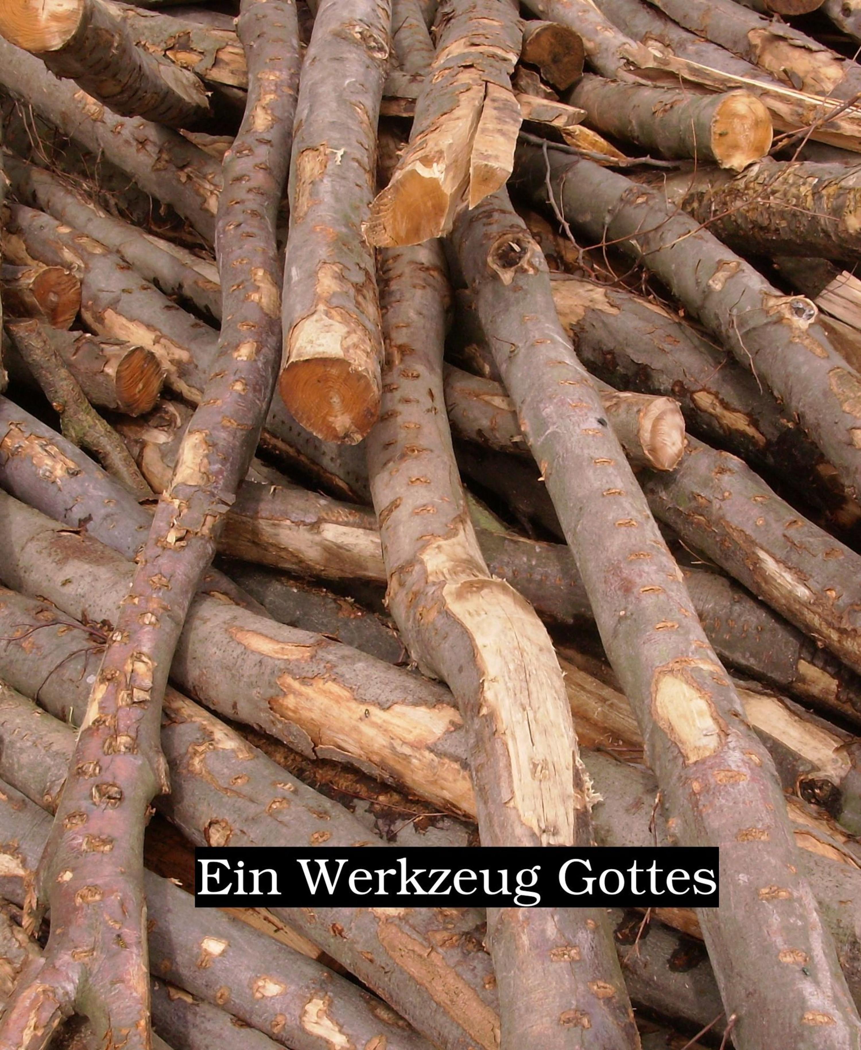 Обложка книги «Ein Werkzeug Gottes»