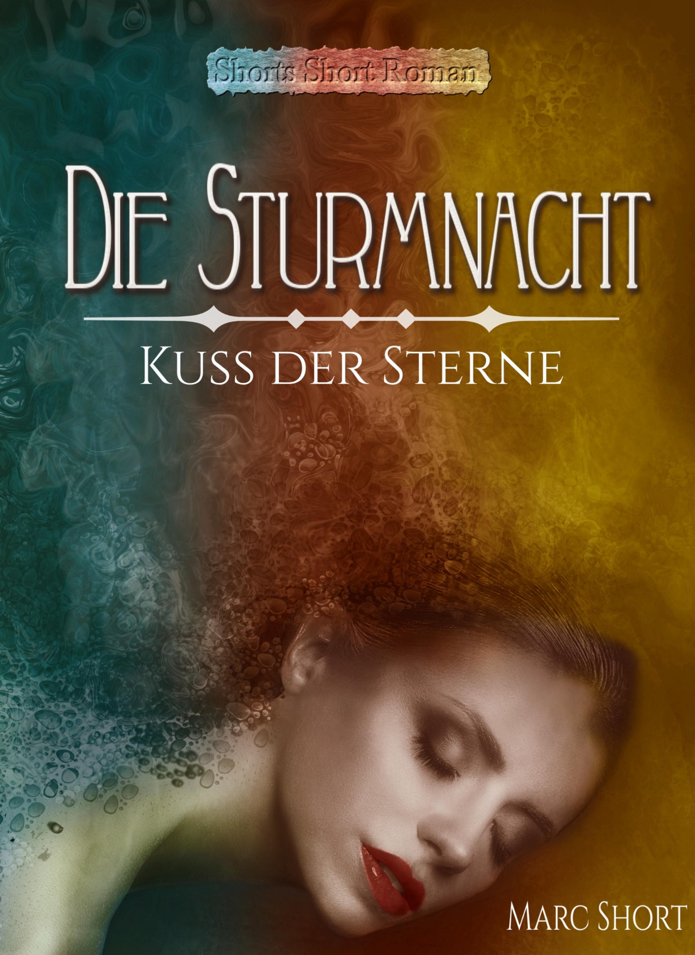 Обложка книги «Die Sturmnacht»