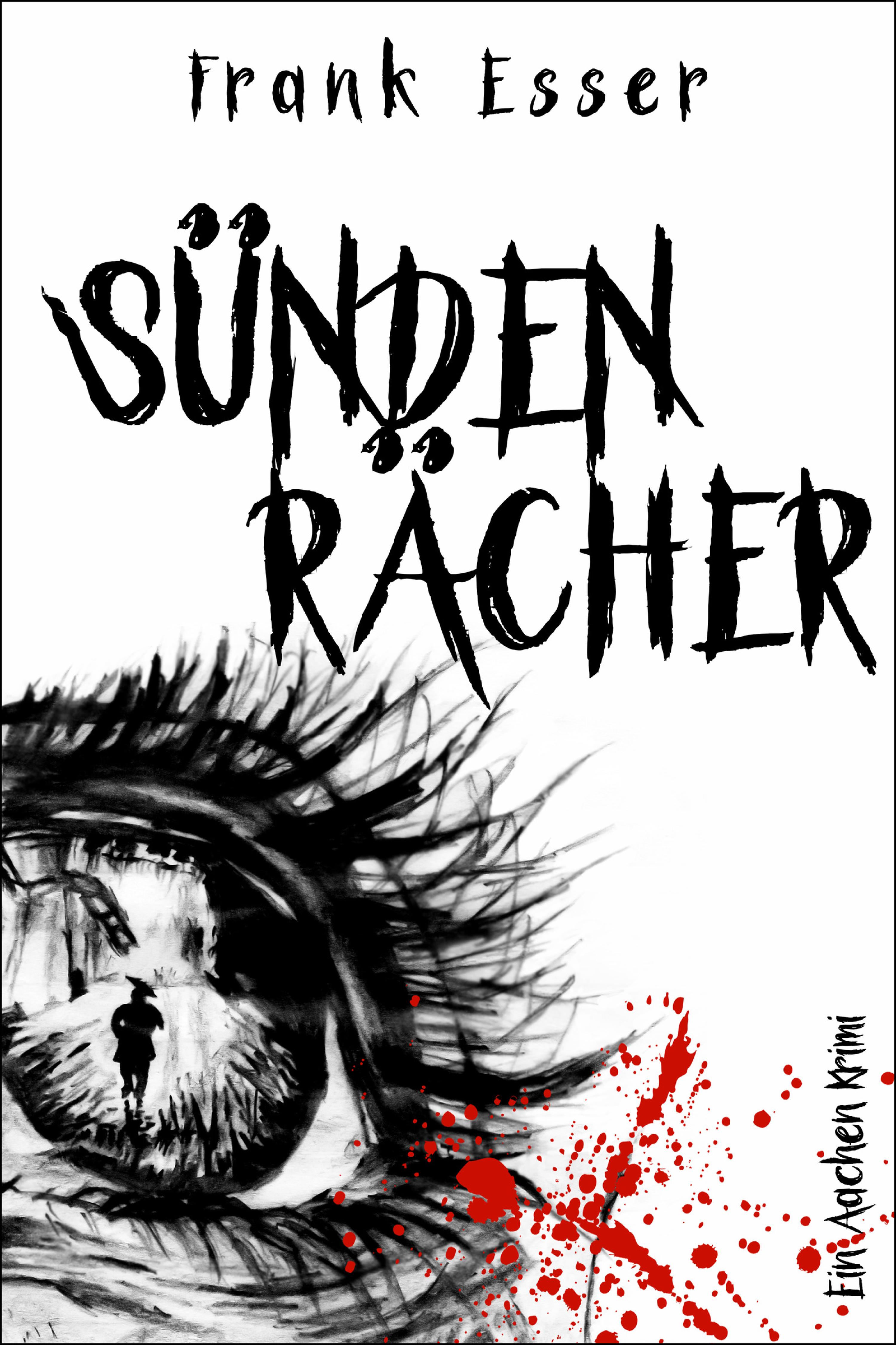 Обложка книги «Sündenrächer»