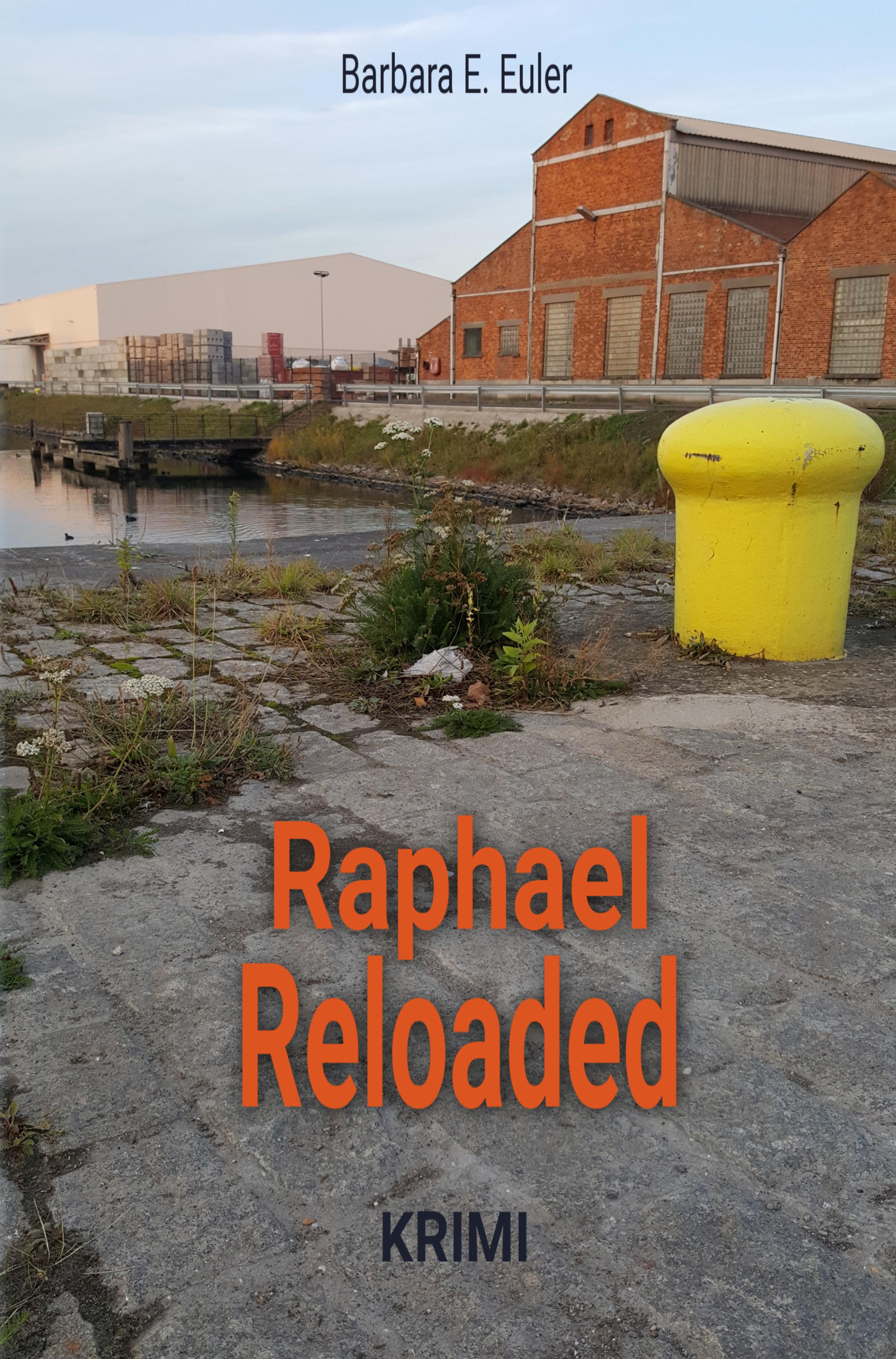 Обложка книги «Raphael Reloaded»