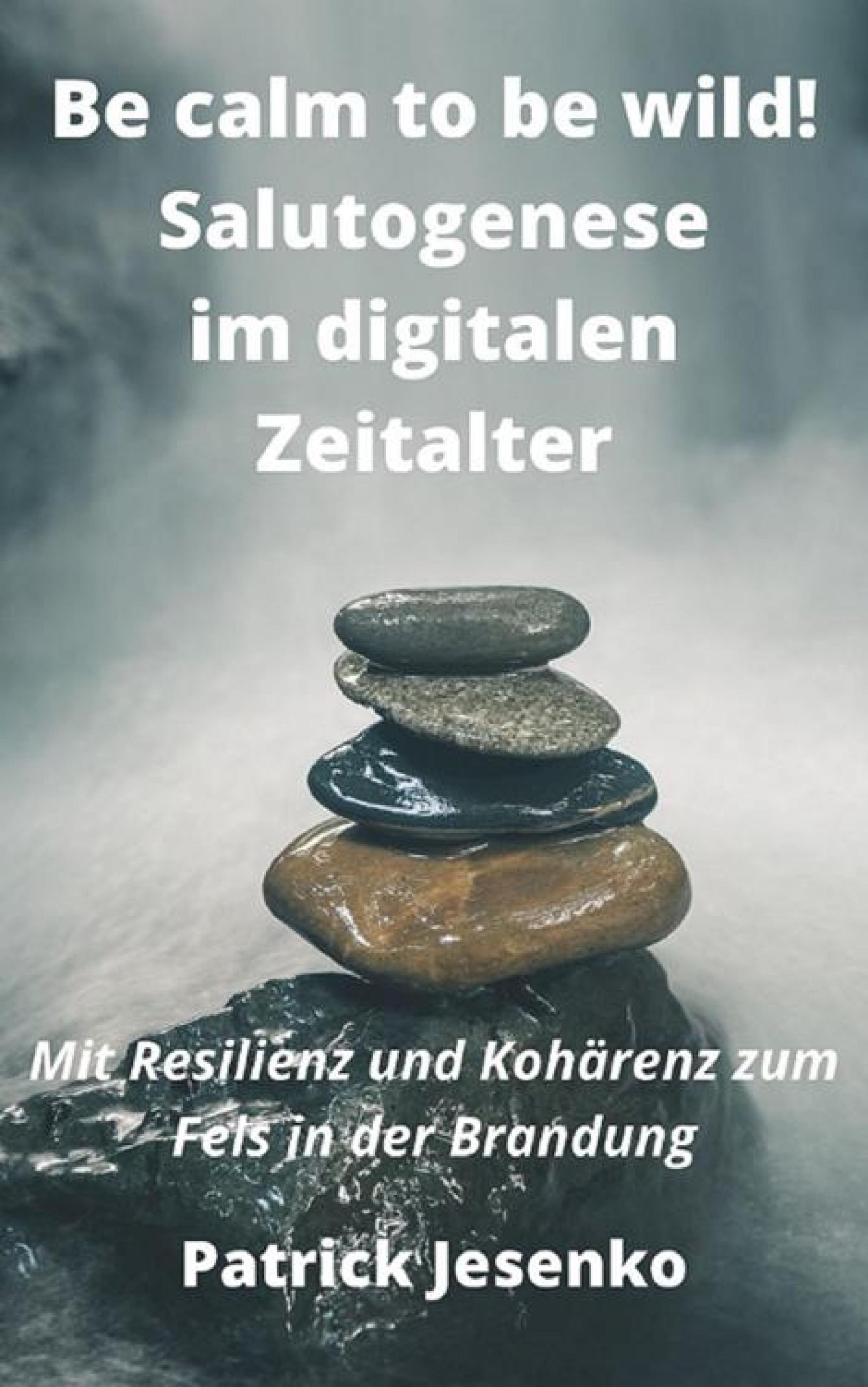 Обложка книги «Be calm to be wild! Salutogenese im digitalen Zeitalter»