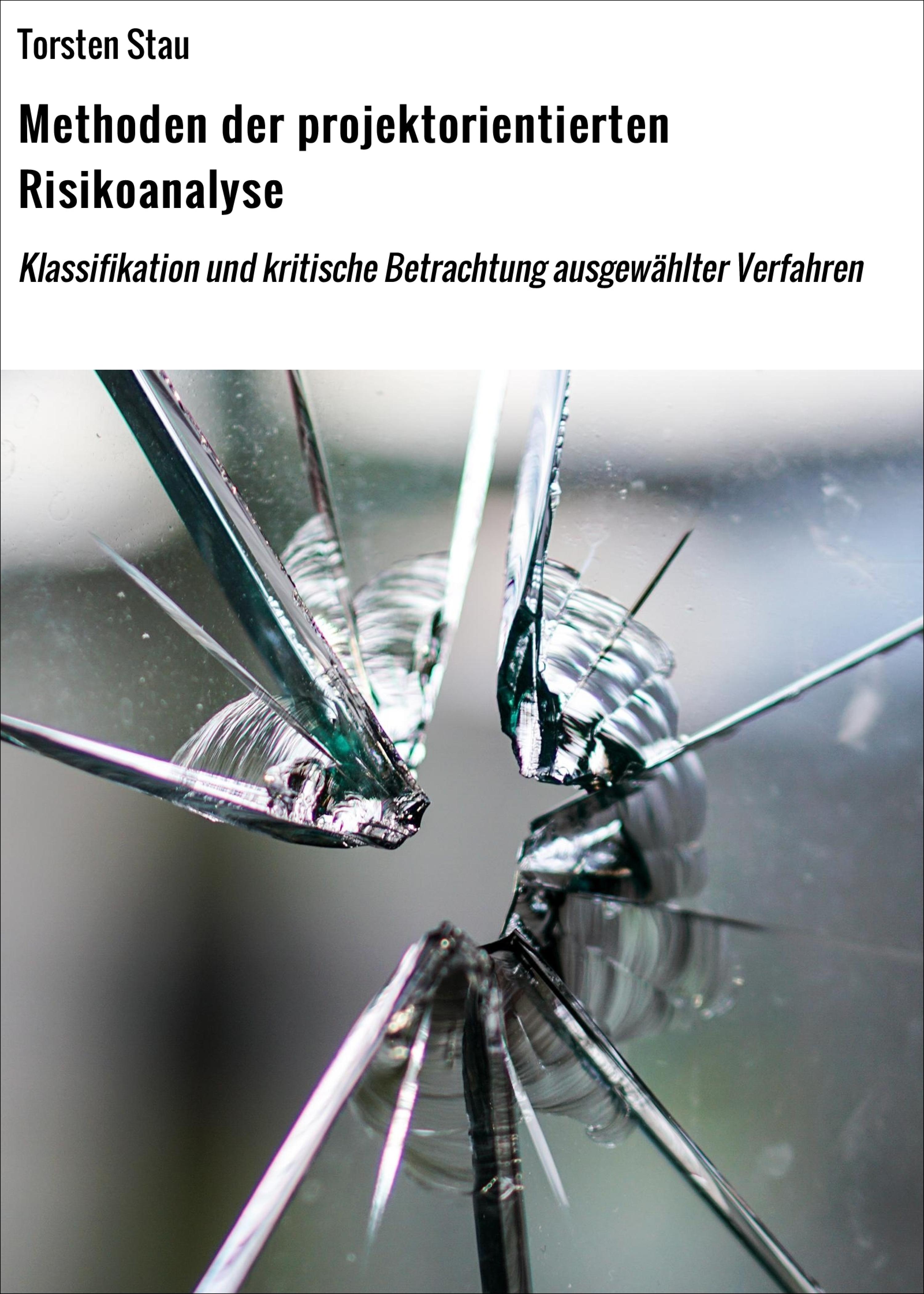 Обложка книги «Methoden der projektorientierten Risikoanalyse»