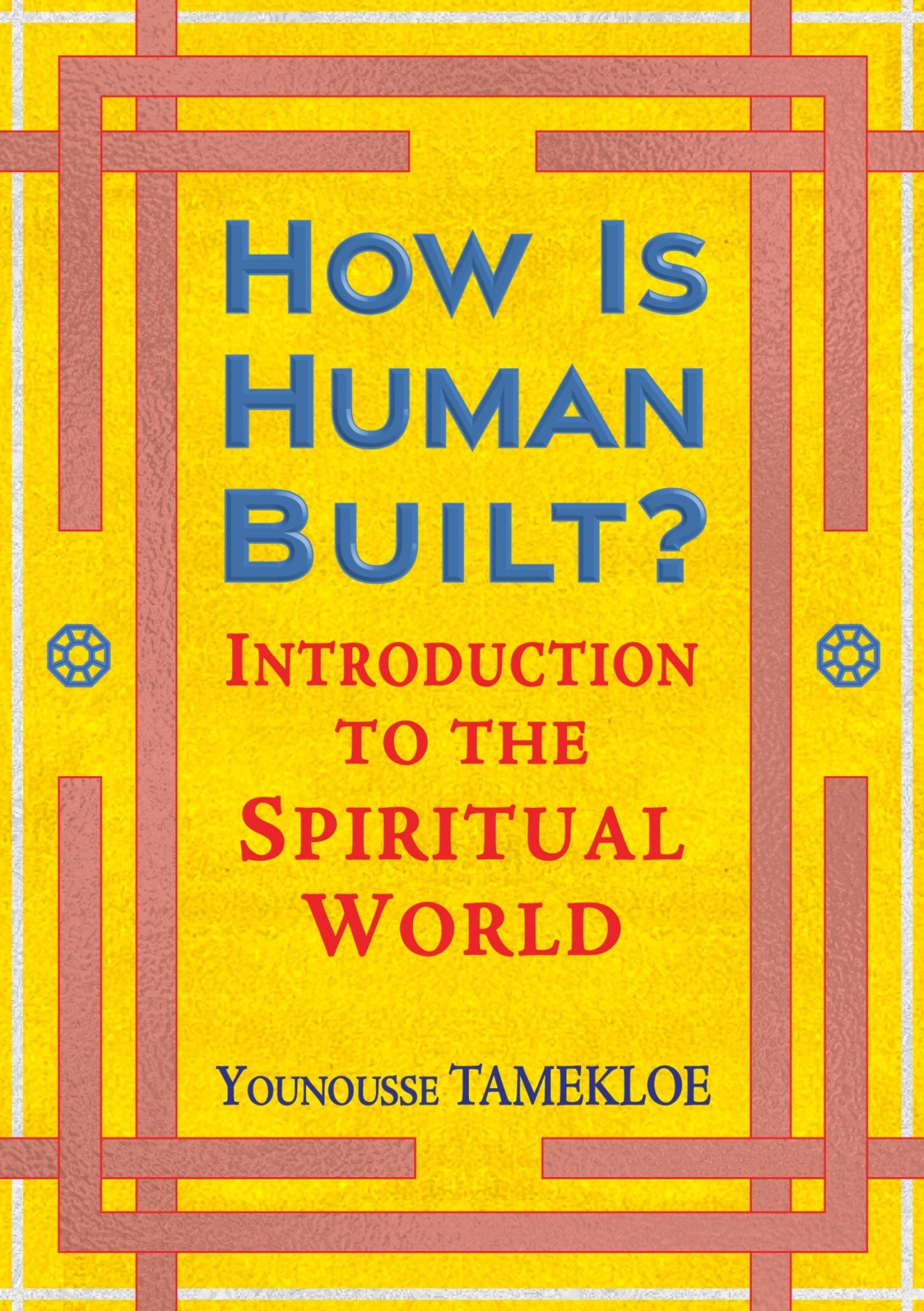 Обложка книги «How Is Human Built?»