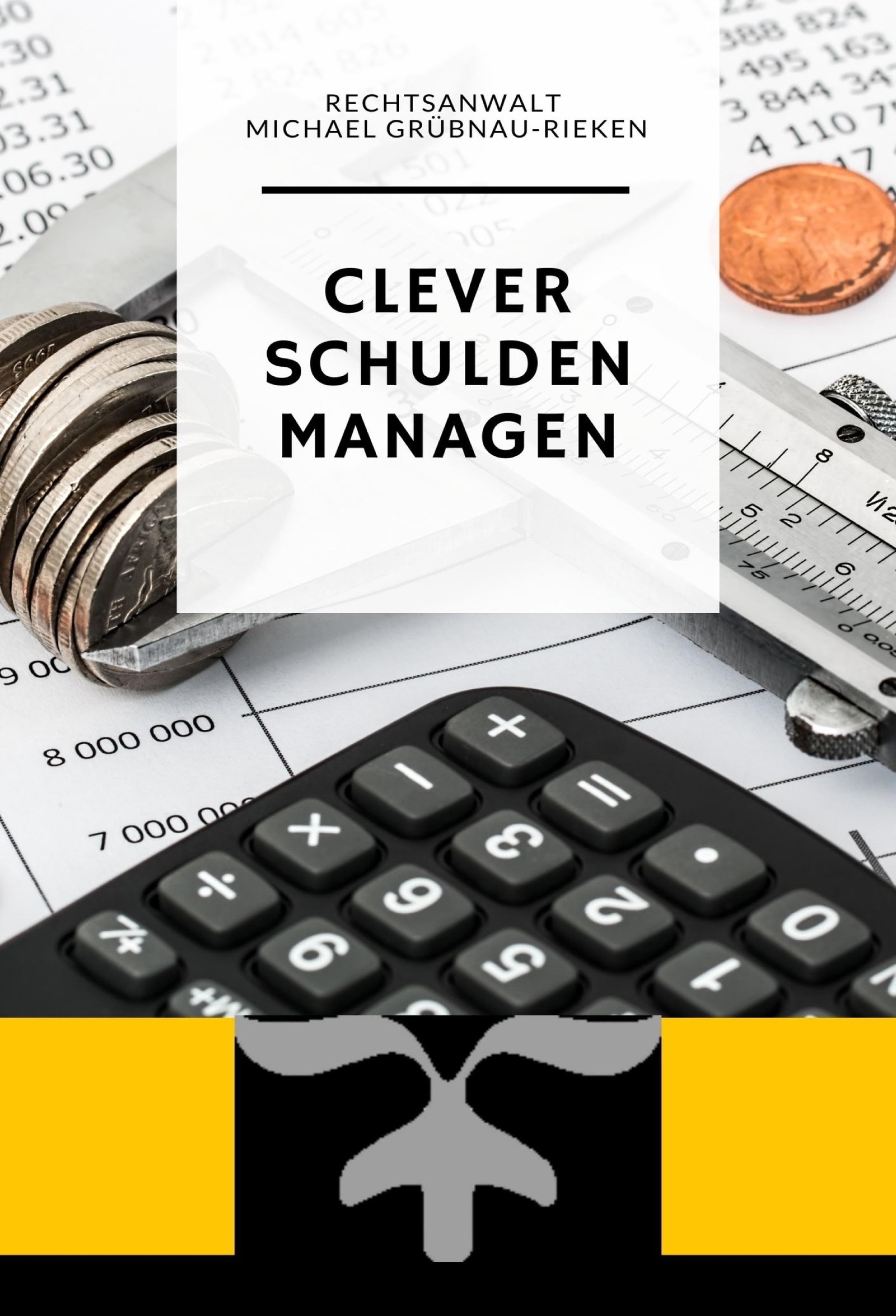 Обложка книги «Clever Schulden Managen»