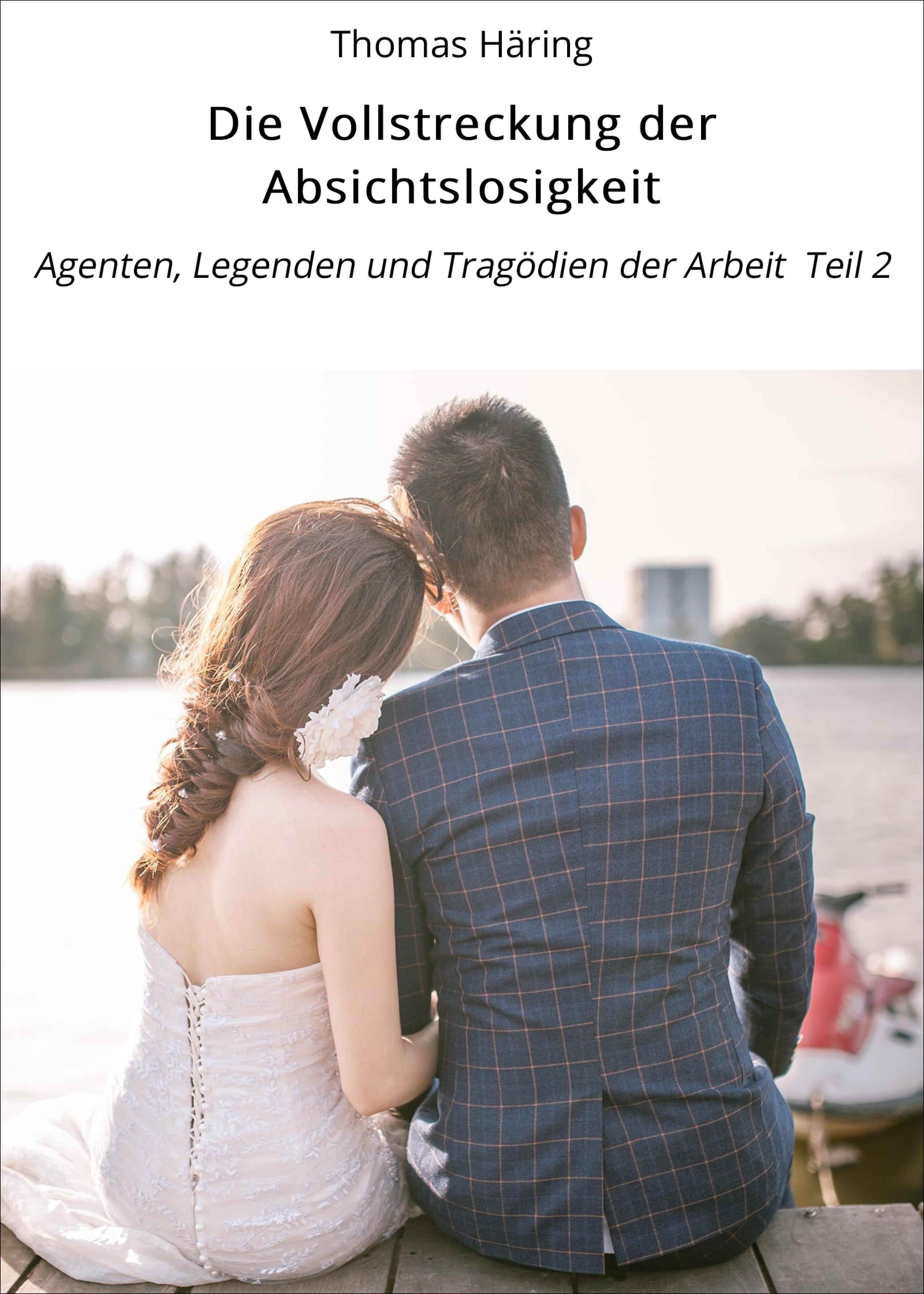 Обложка книги «Die Vollstreckung der Absichtslosigkeit»