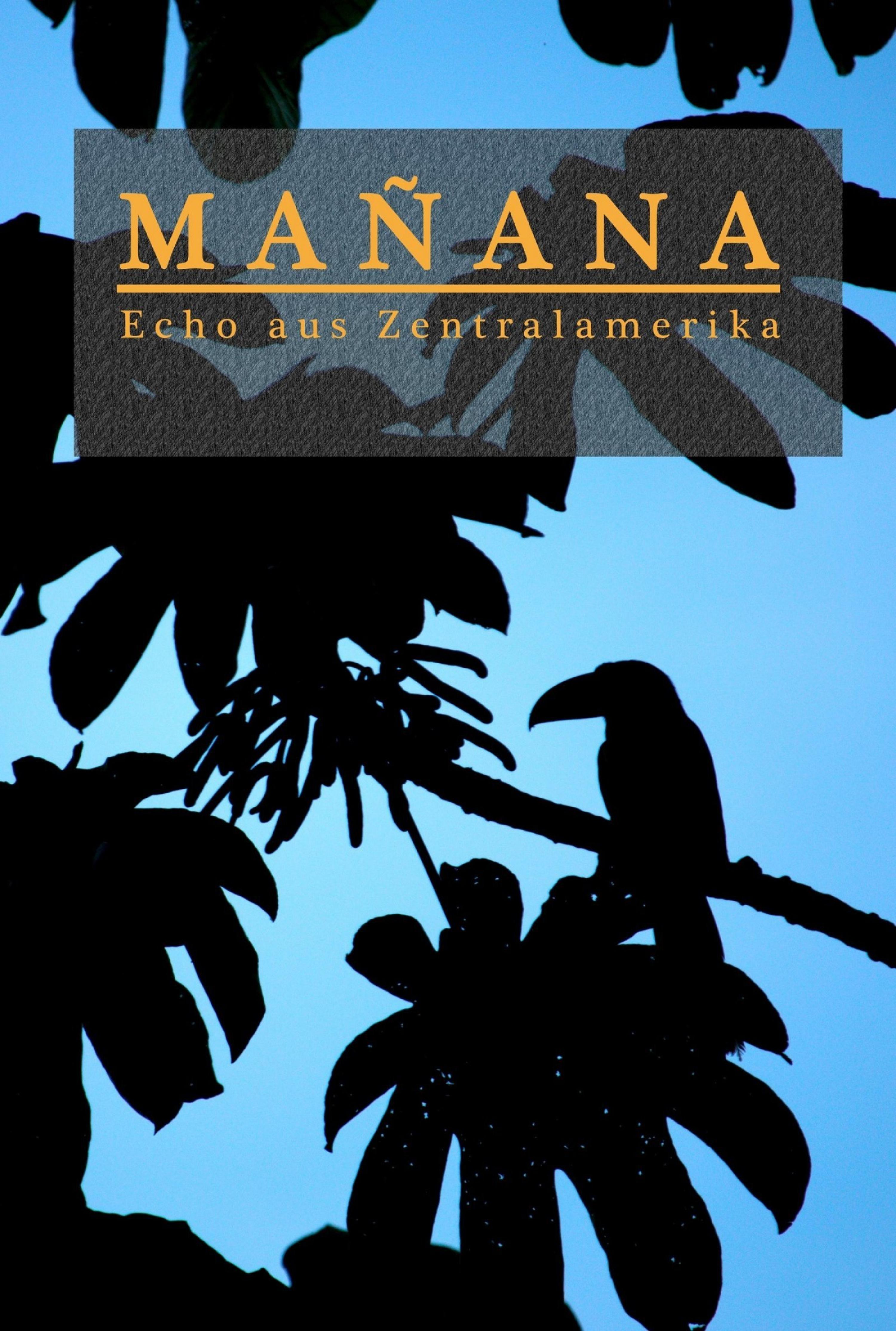 Обложка книги «Mañana»