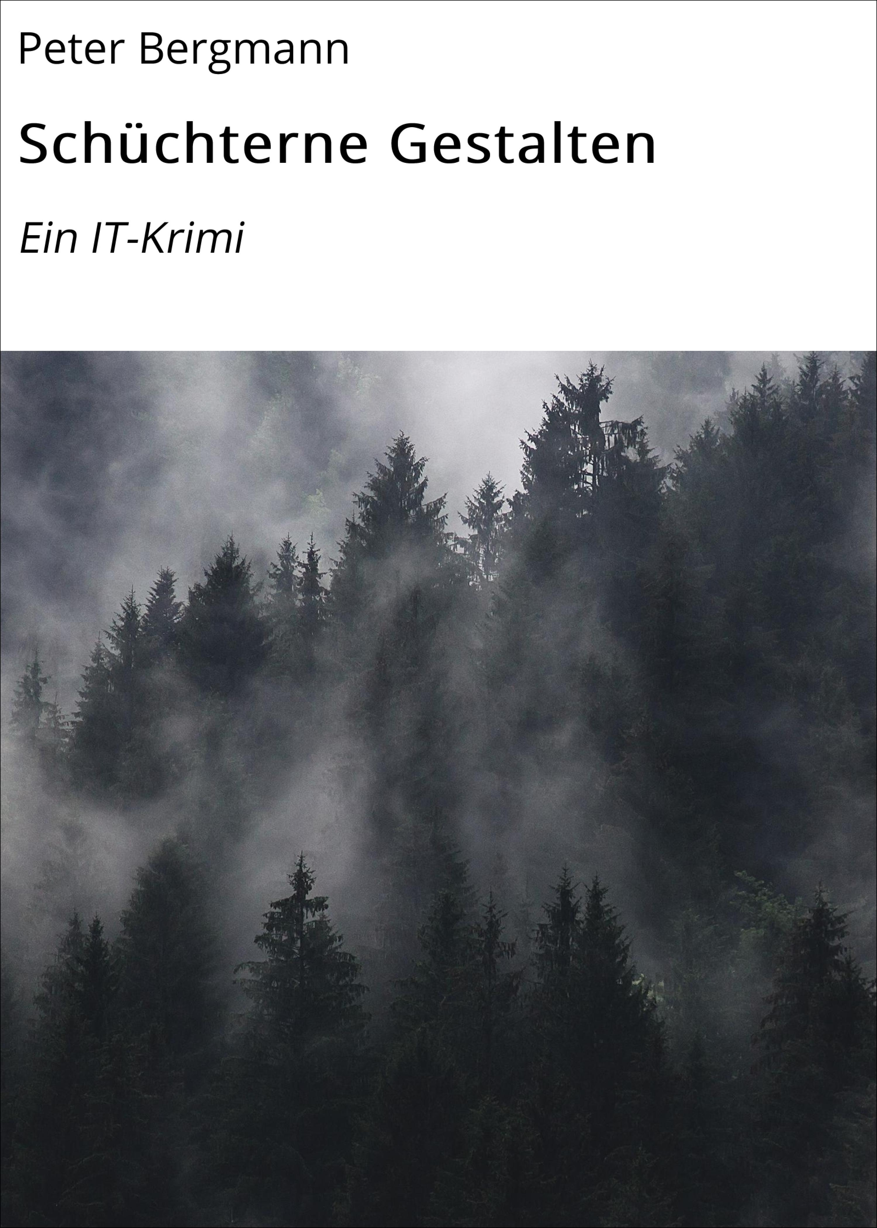 Обложка книги «Schüchterne Gestalten»