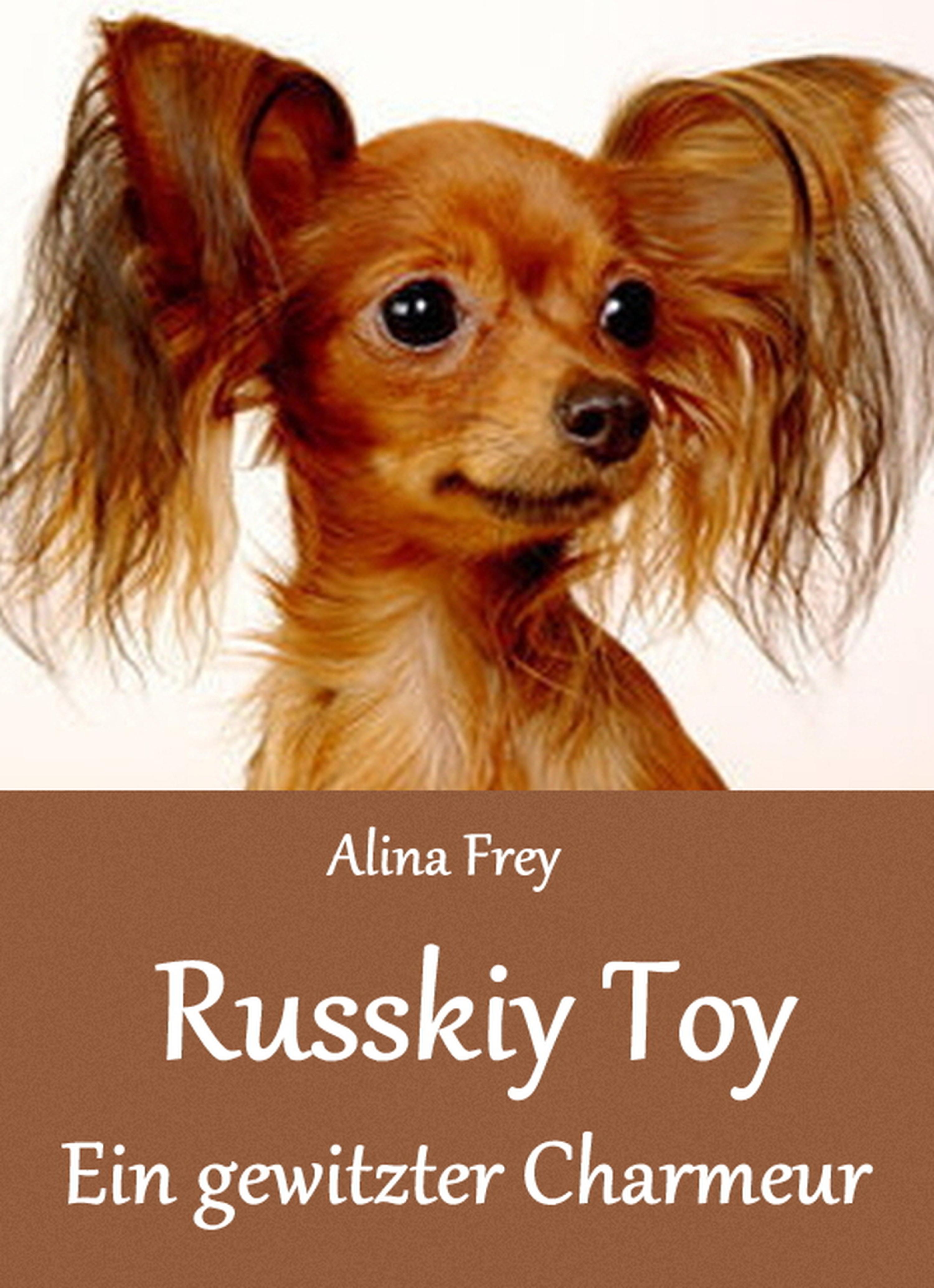 Обложка книги «Russkiy Toy»