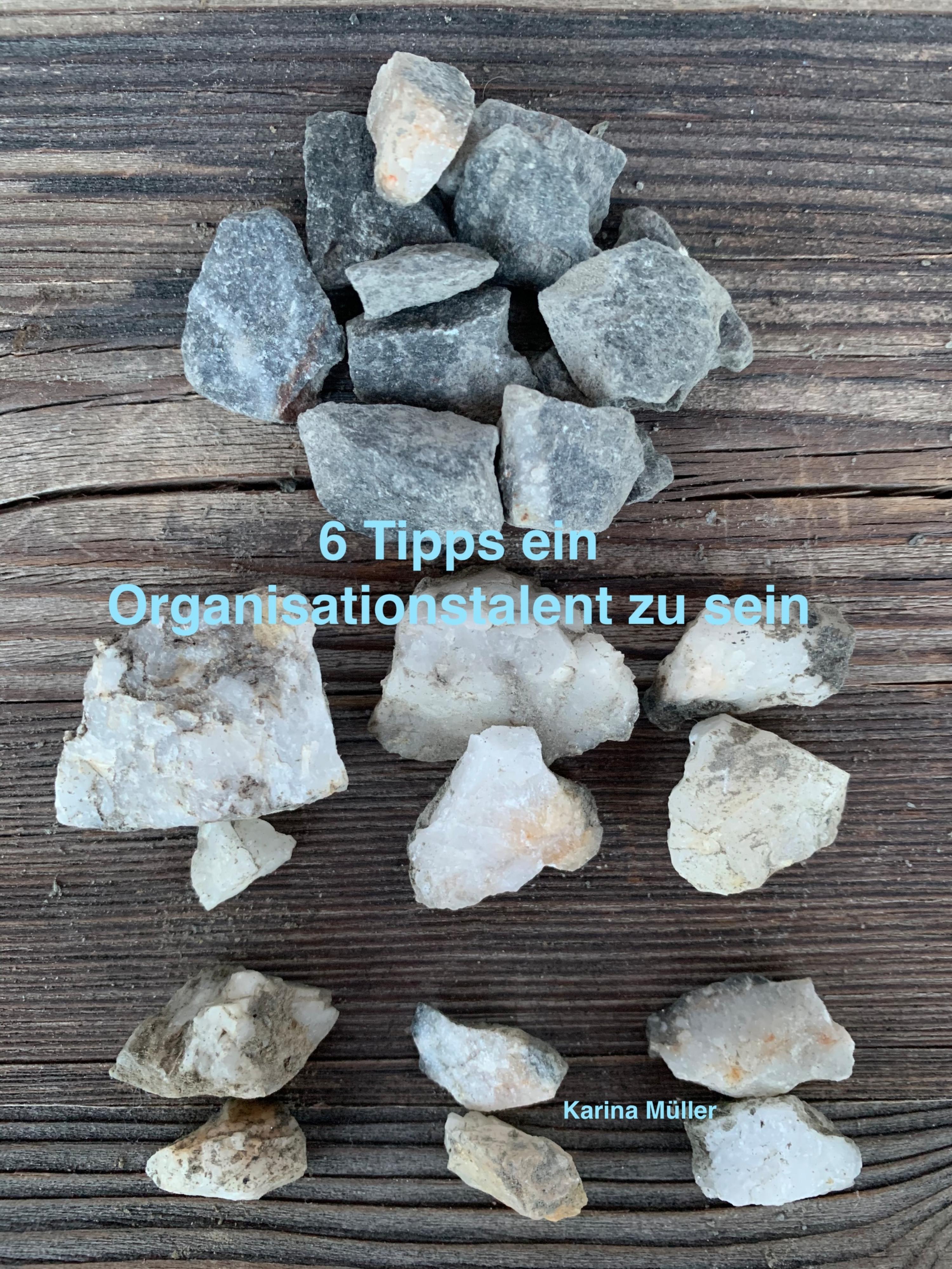 Обложка книги «6 Tipps ein Organisationstalent zu sein»