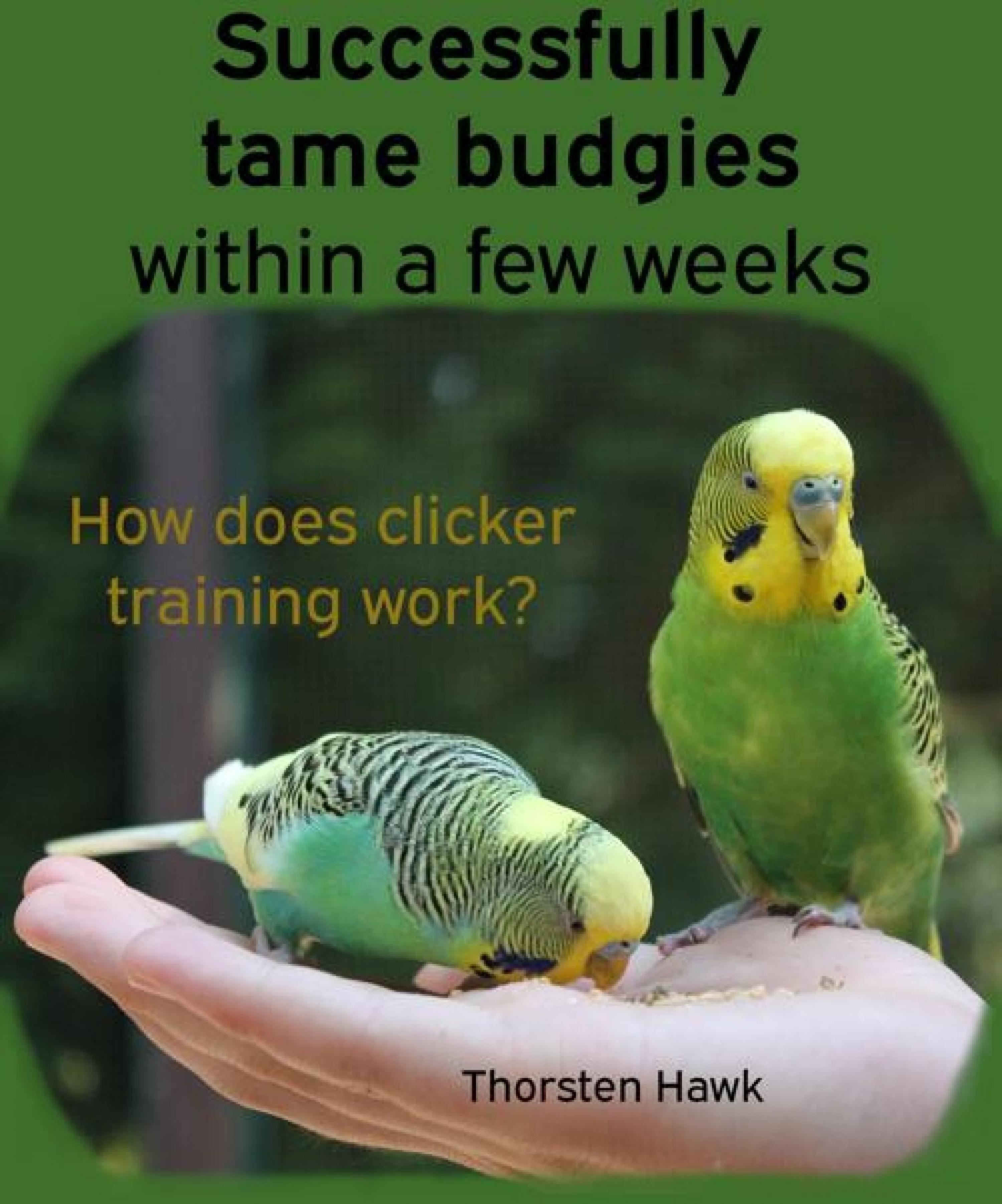 Обложка книги «Successfully tame budgies within a few weeks»