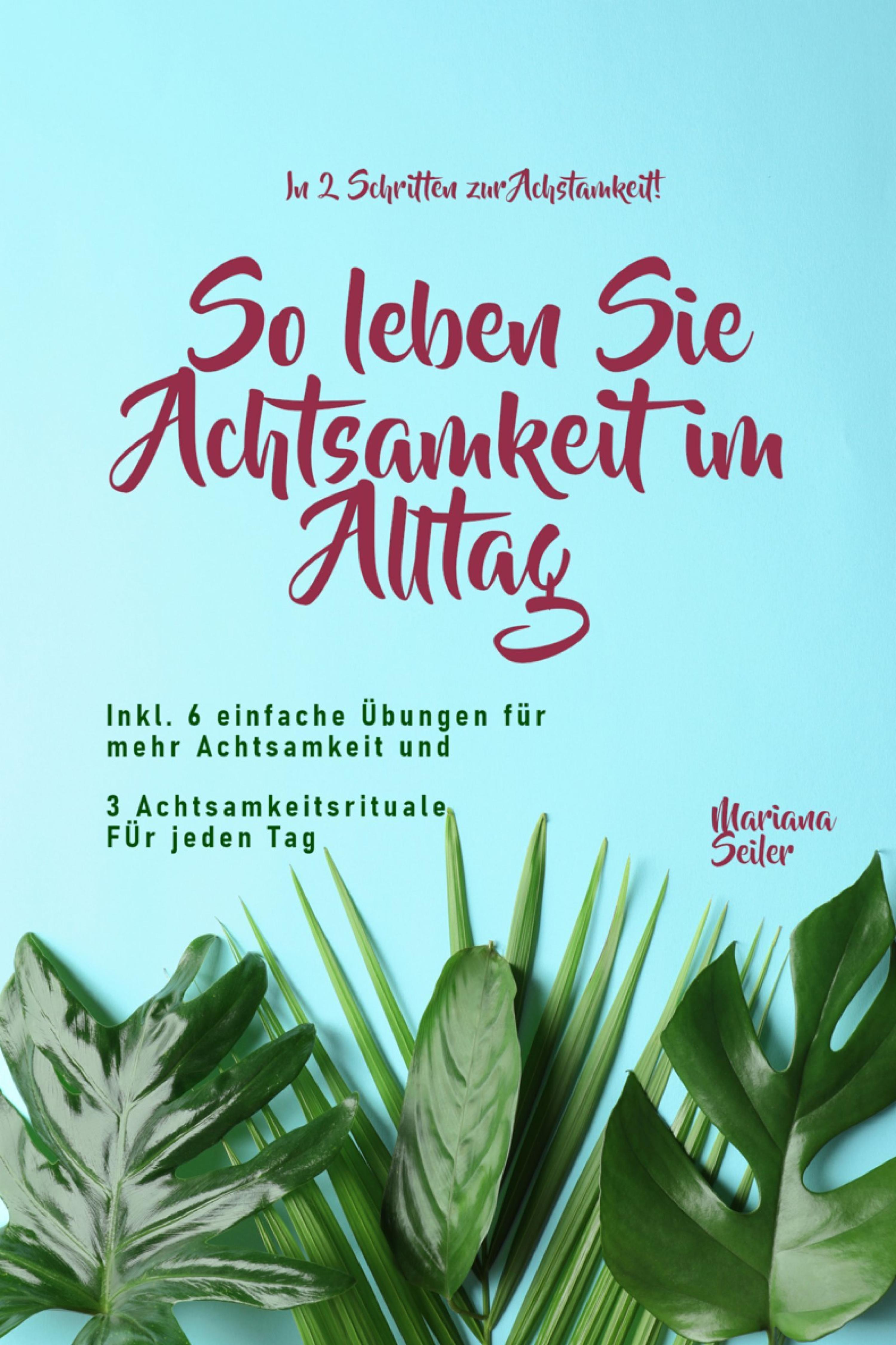 Обложка книги «Achtsamkeit: IN 2 SCHRITTEN ZUR ACHTSAMKEIT! So leben Sie Achtsamkeit im Alltag»