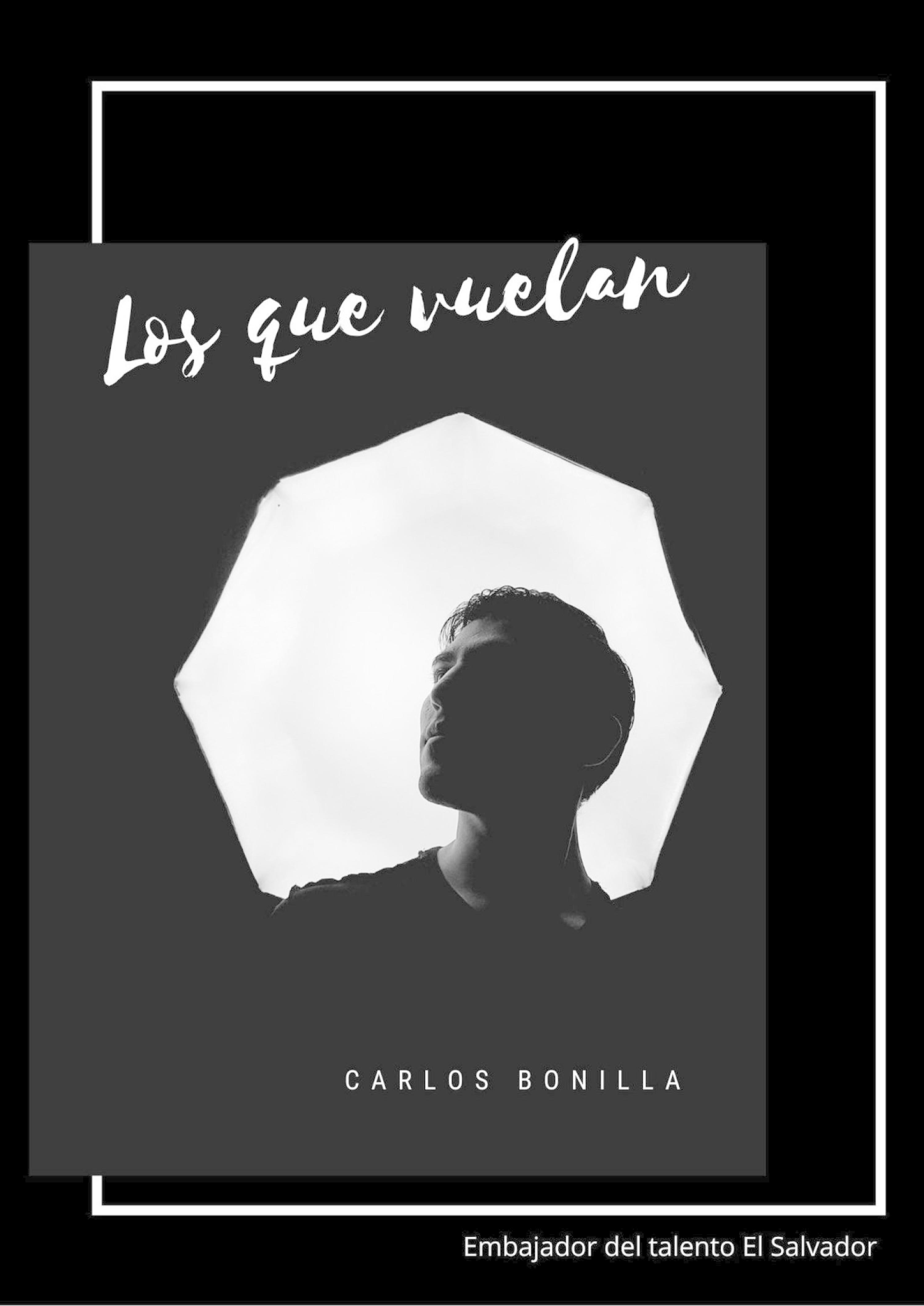 Обложка книги «Los que vuelan»
