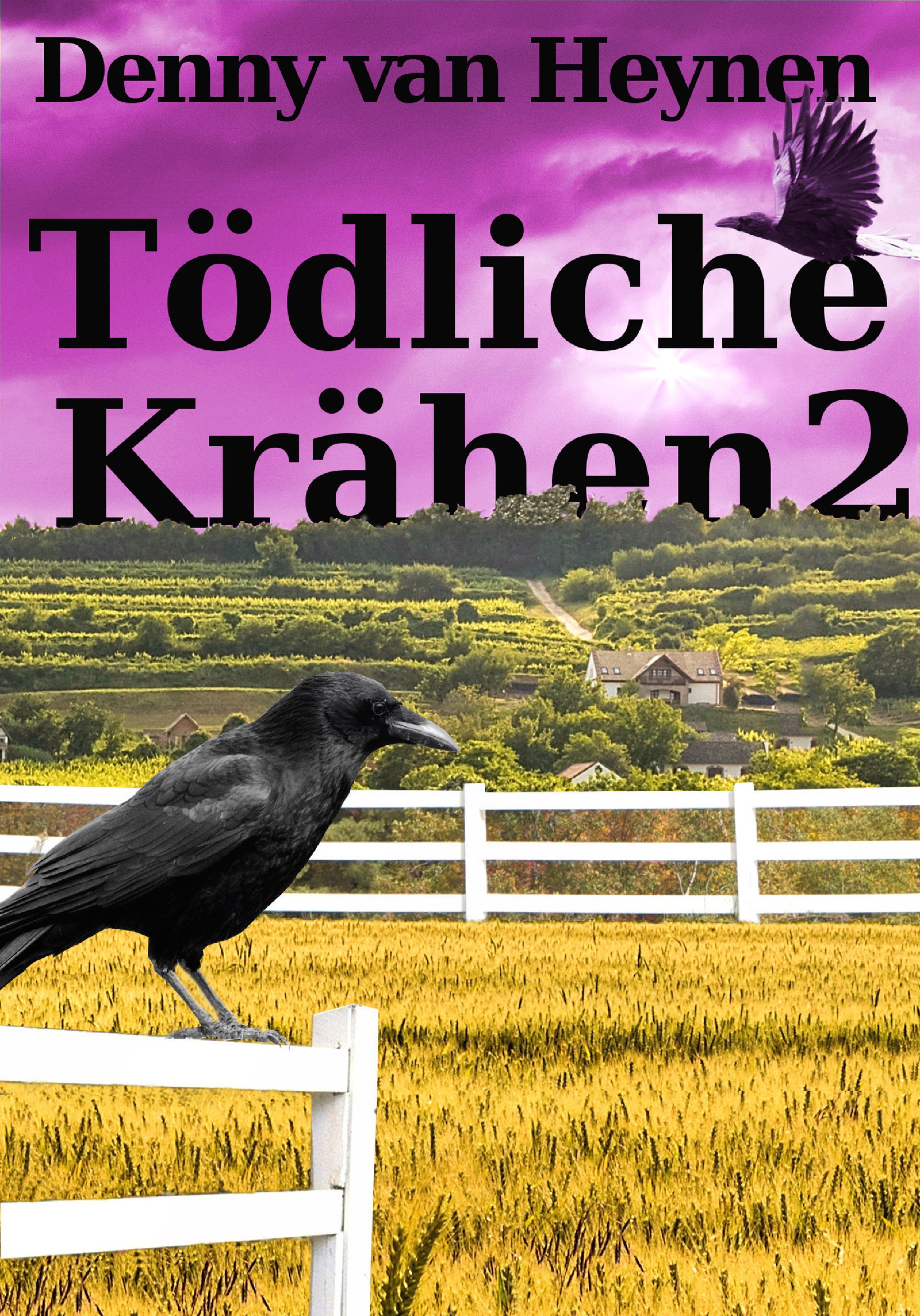 Обложка книги «Tödliche Krähen 2»