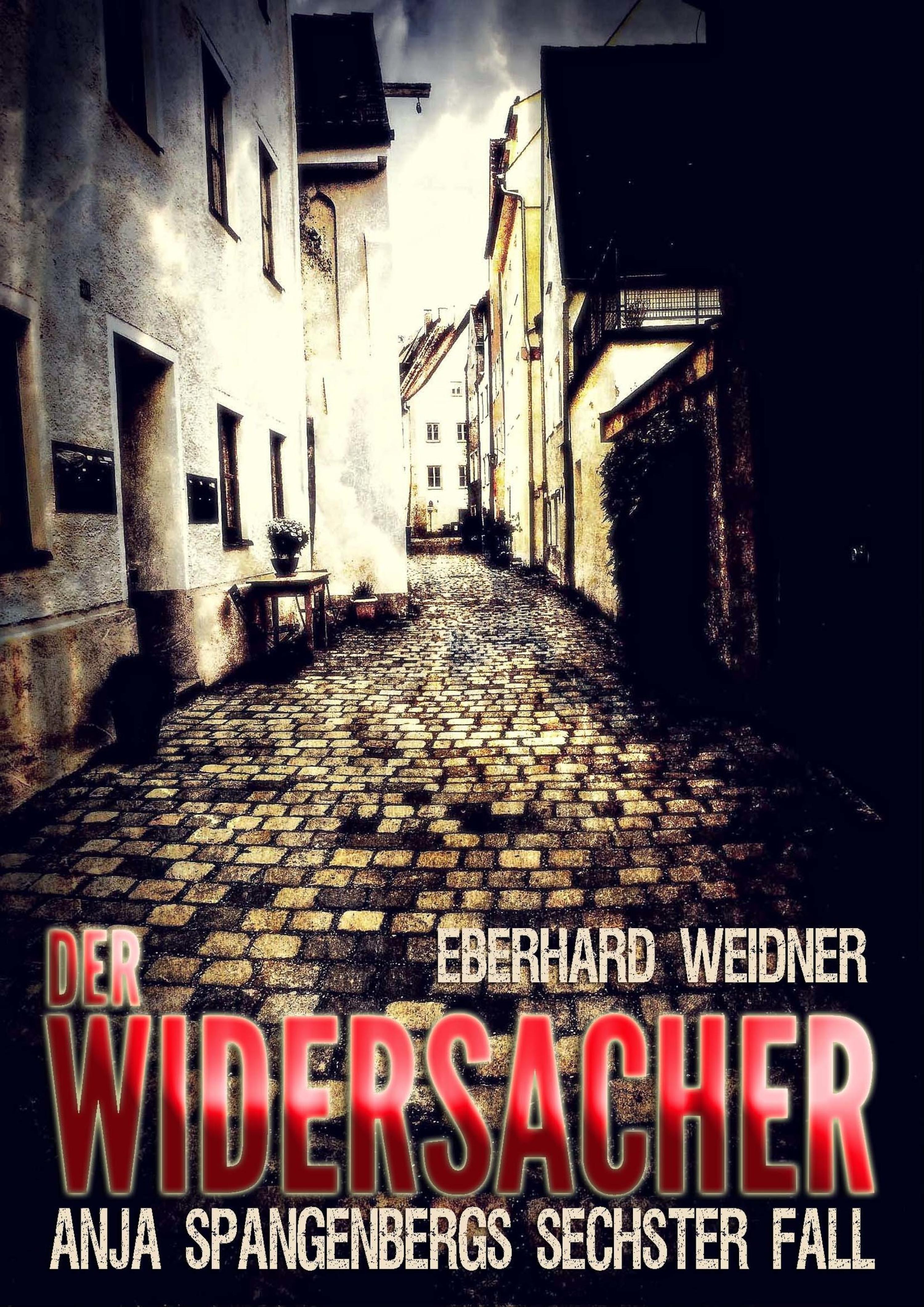 Обложка книги «DER WIDERSACHER»