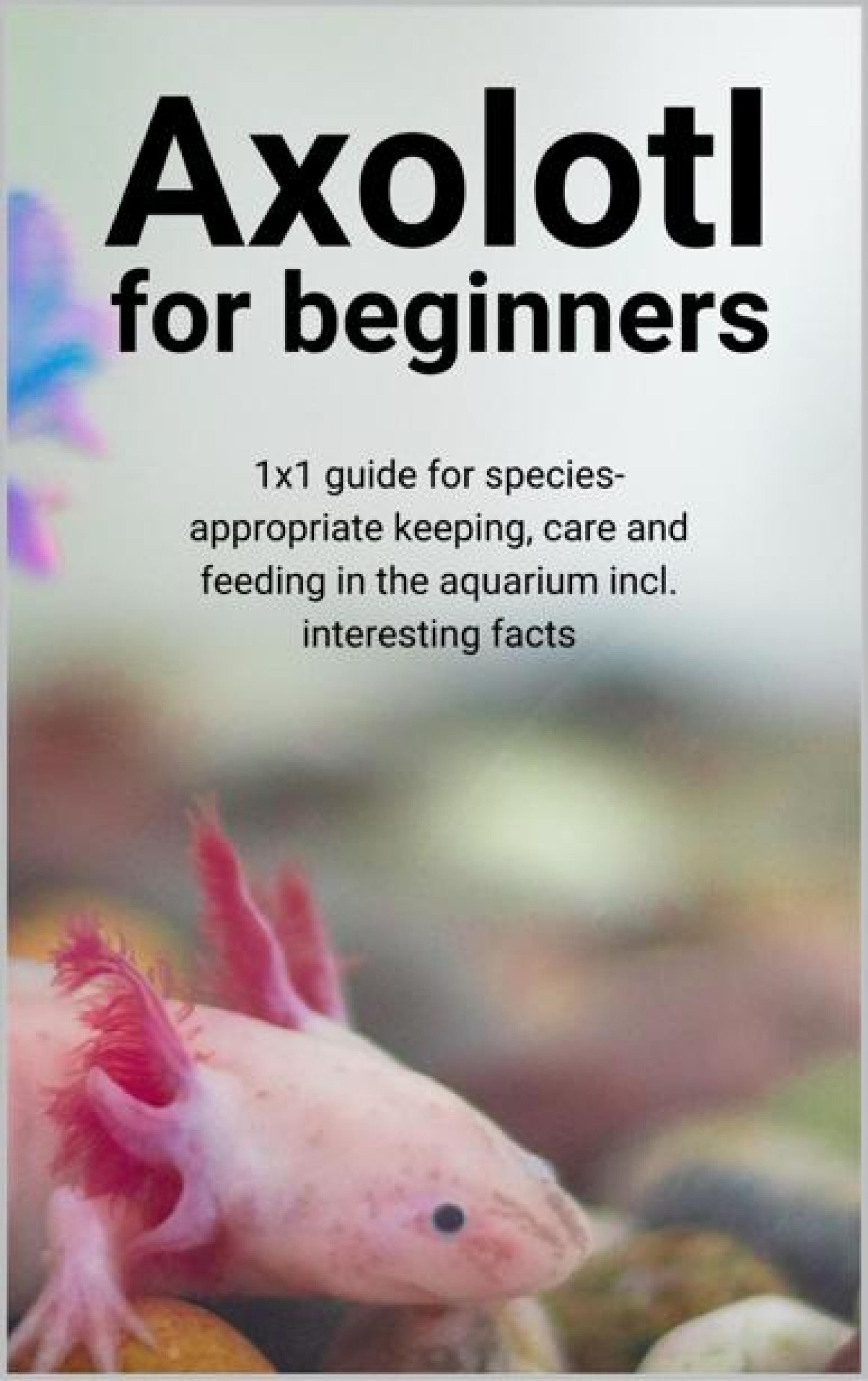 Обложка книги «Axolotl for beginners»