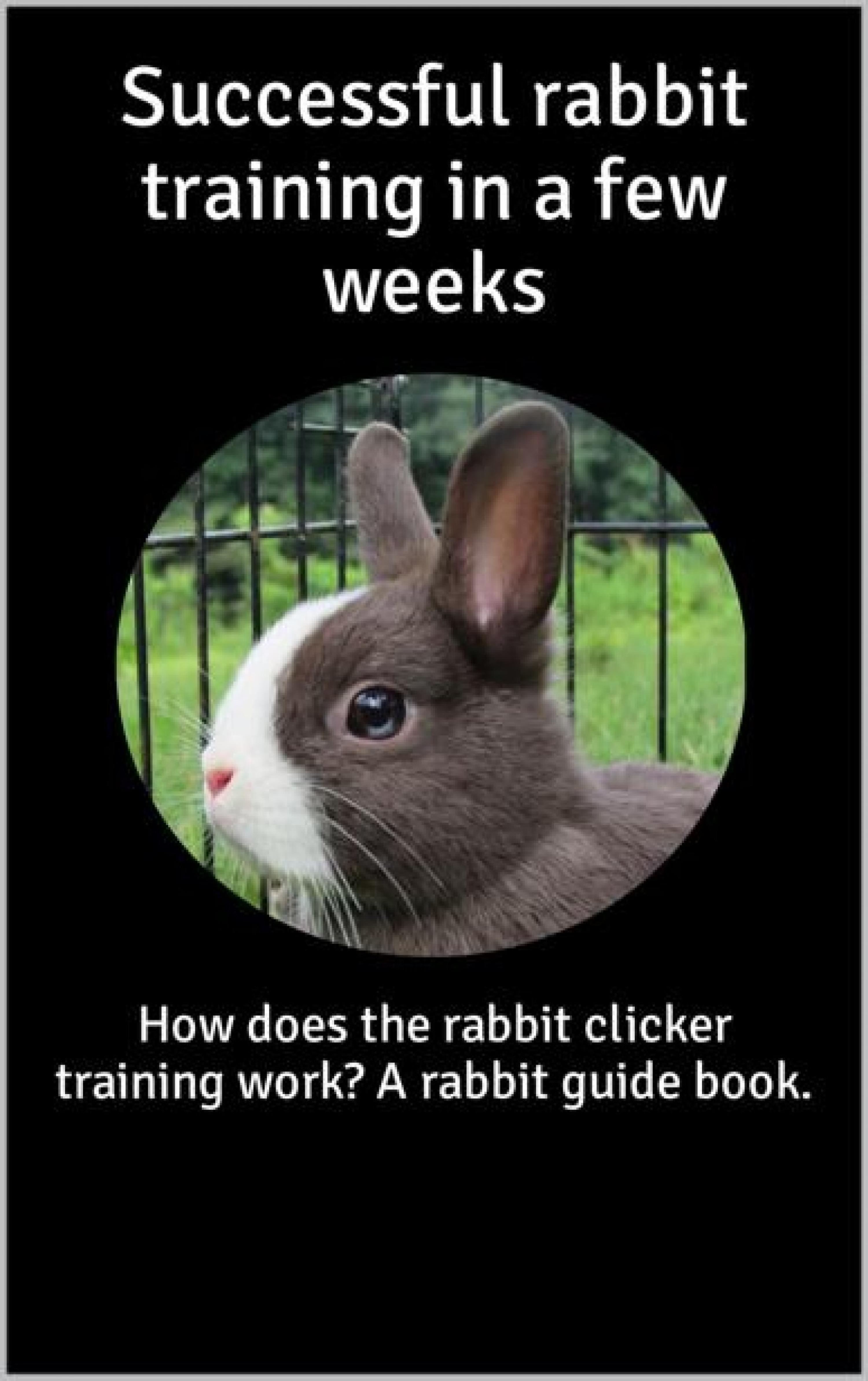 Обложка книги «Successful rabbit training in a few weeks»