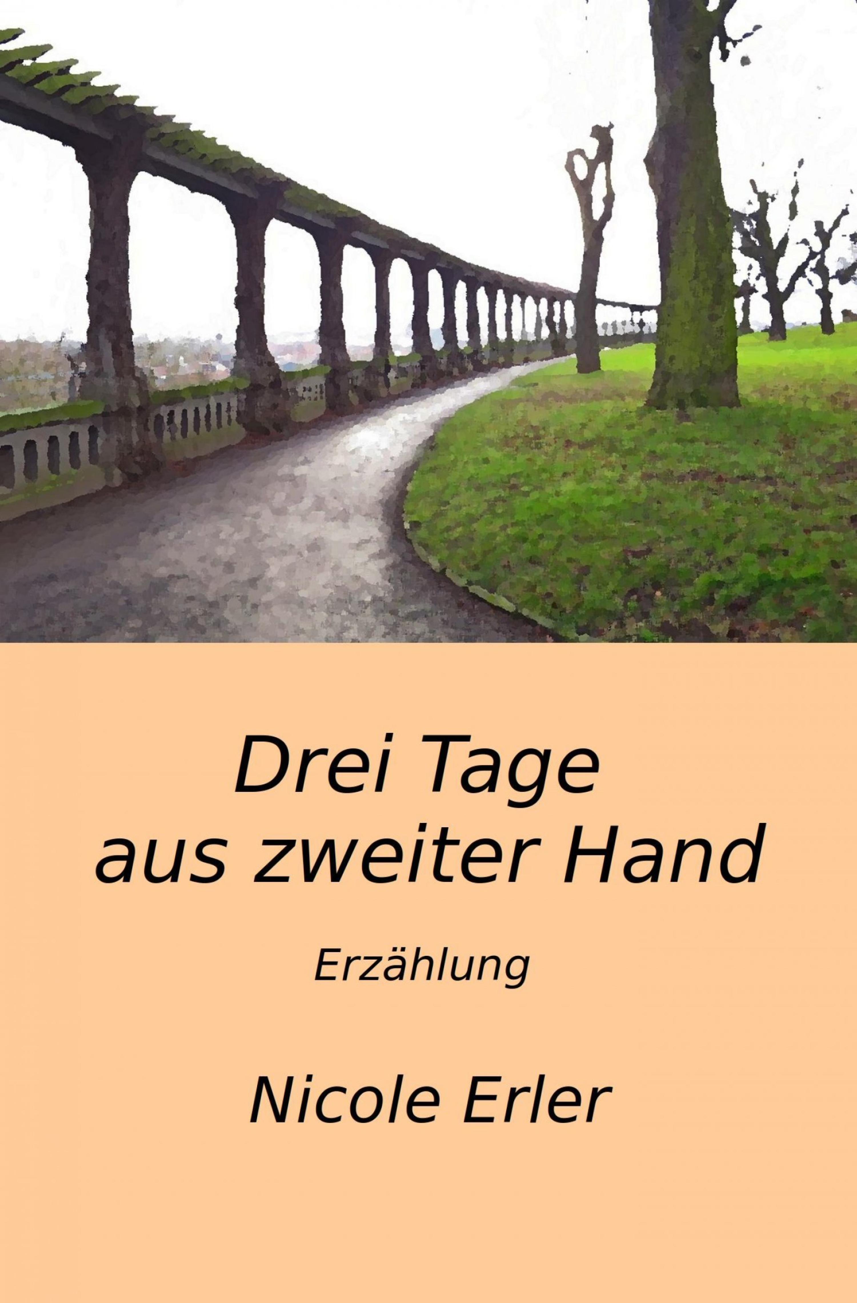 Обложка книги «Drei Tage aus zweiter Hand»