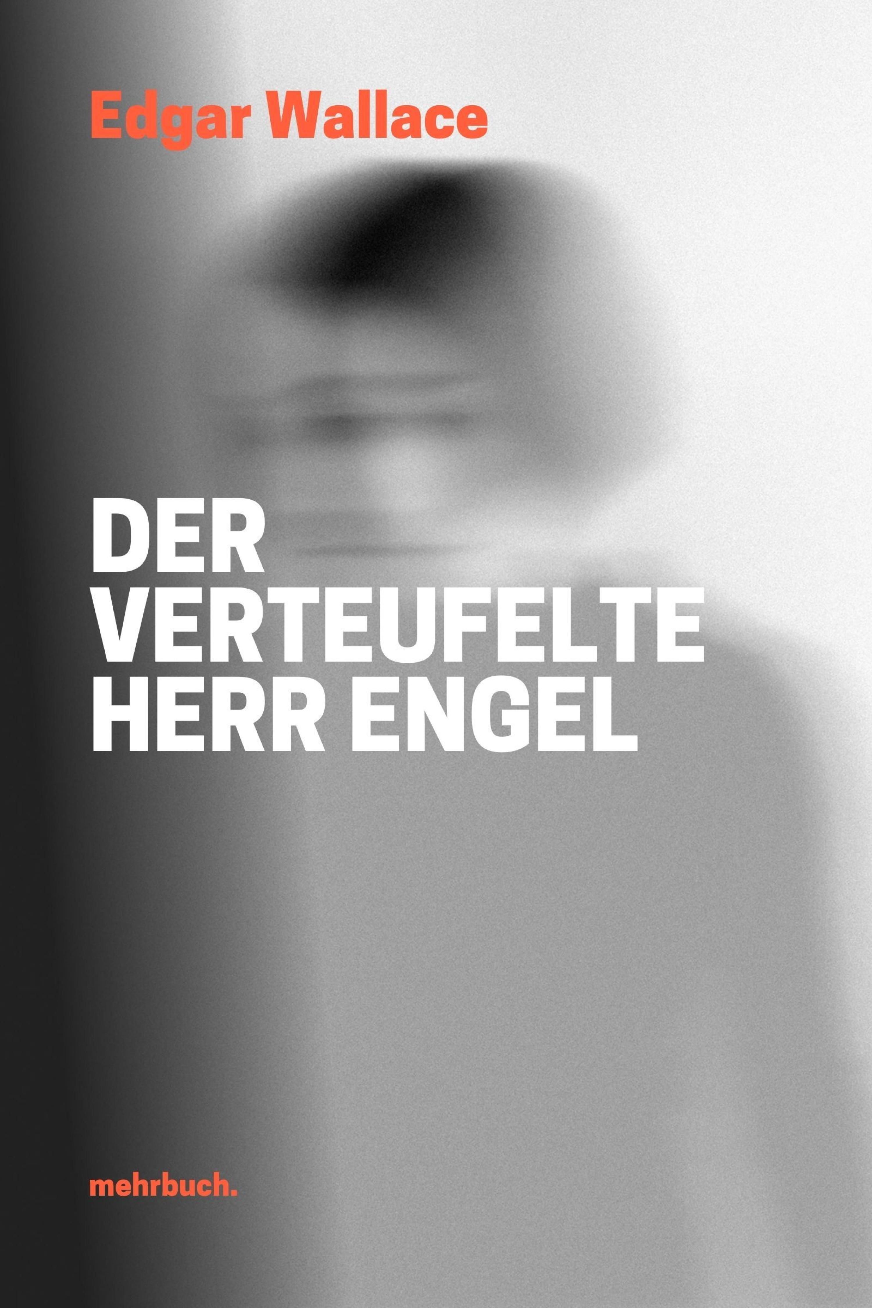 Обложка книги «Der verteufelte Herr Engel»